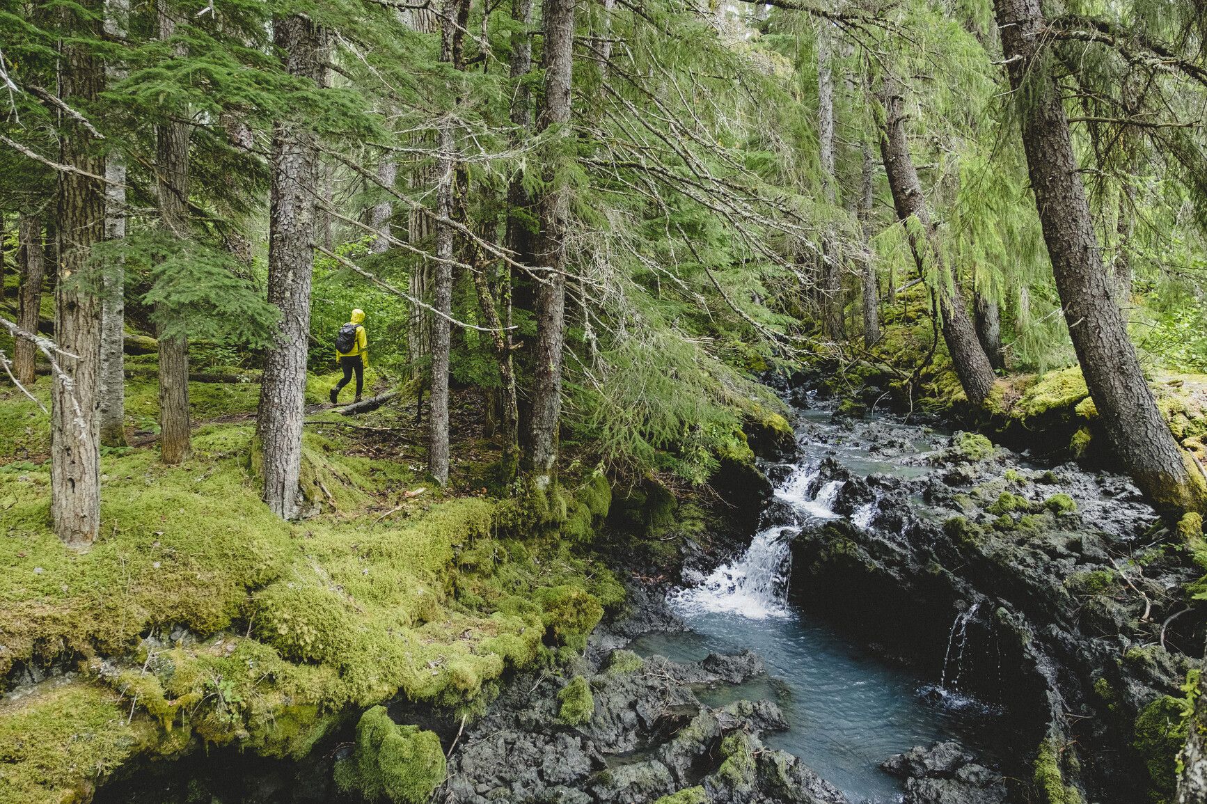 A hiker walks through the mossy forest of Nisg̱a'a Memorial Lava Bed Park, where a clear stream winds over ancient lava rock — a vivid reminder of the volcanic forces that shaped this lush landscape. Courtesy of Destination BC