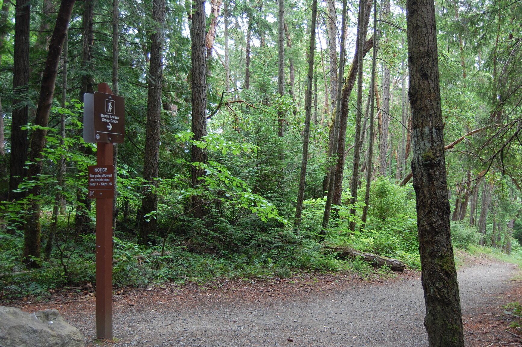 Bamberton Park