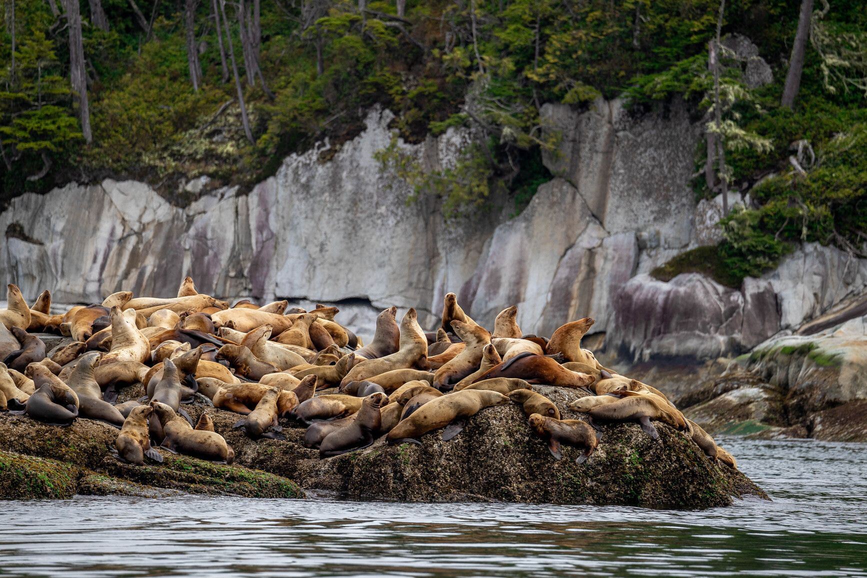 Broughton Archipelago Park
