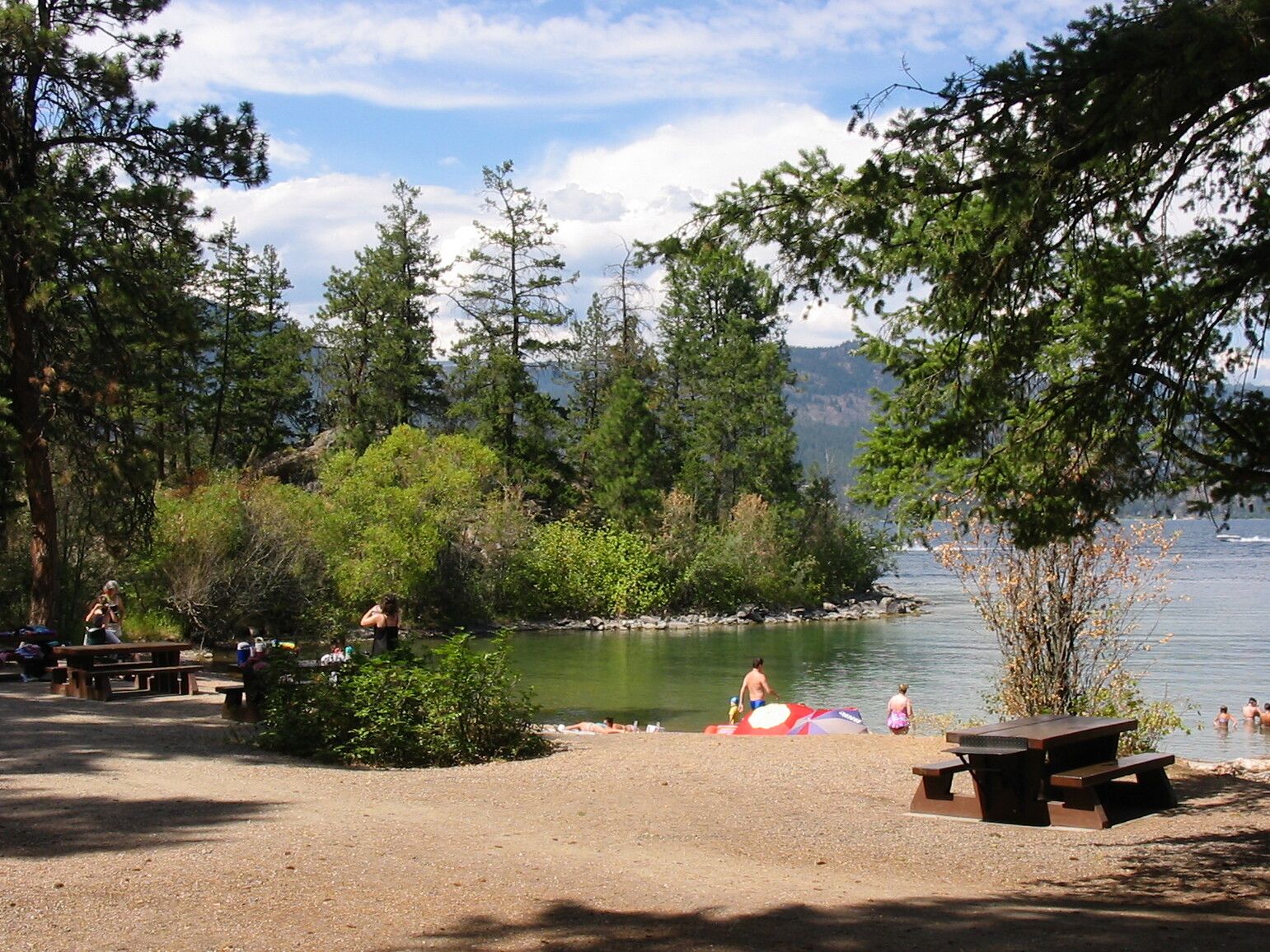 Ellison Park