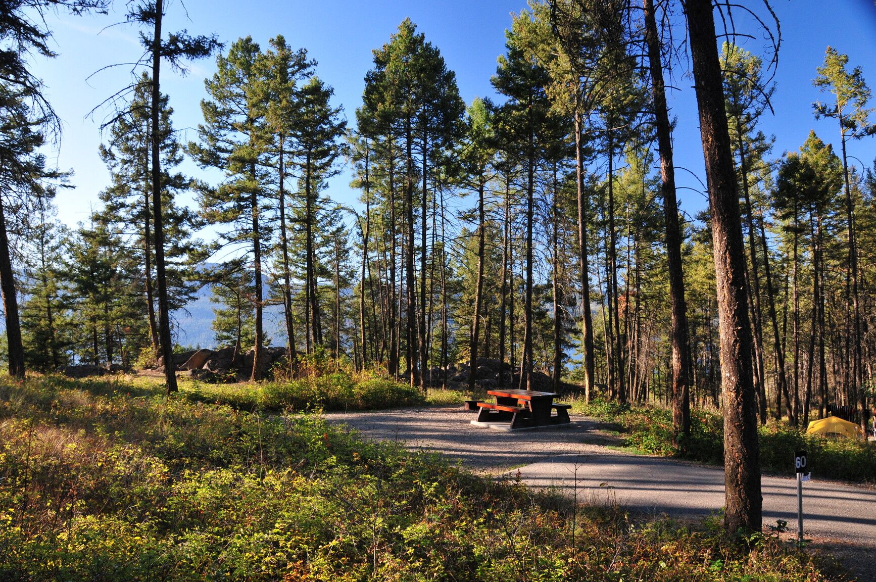 Ellison Park