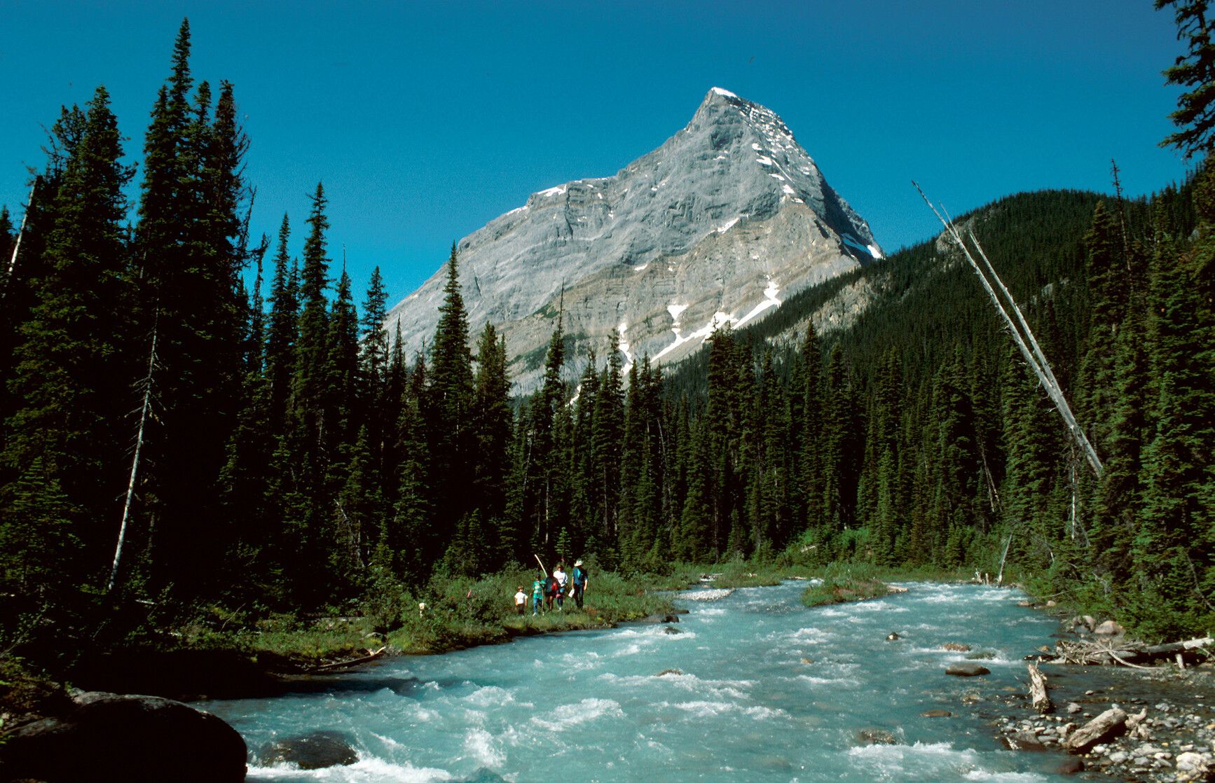 Hamber Park