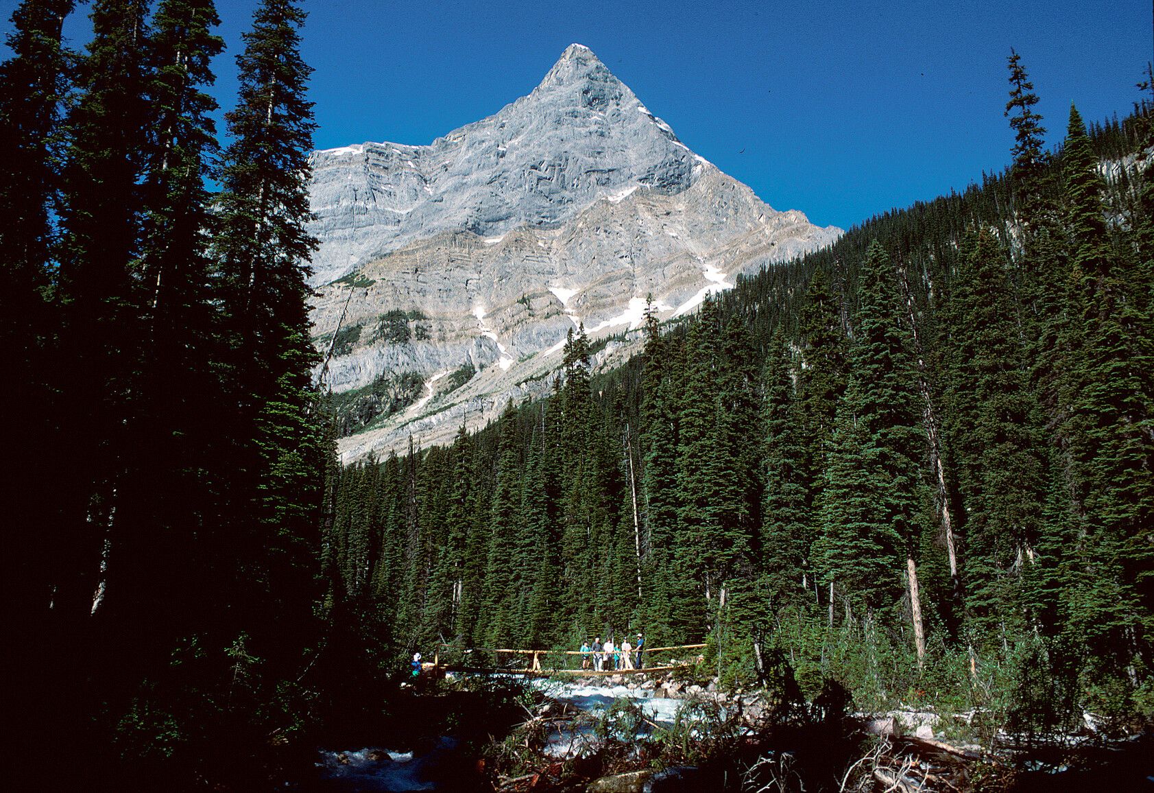 Hamber Park
