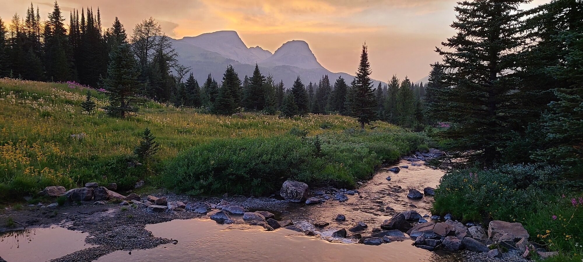 Sunset serenity in Mount Assiniboine Park. A gentle stream winds through wildflowers and evergreens, while silhouetted peaks glow beneath warm light, illuminating the tranquil beauty of the alpine valley.