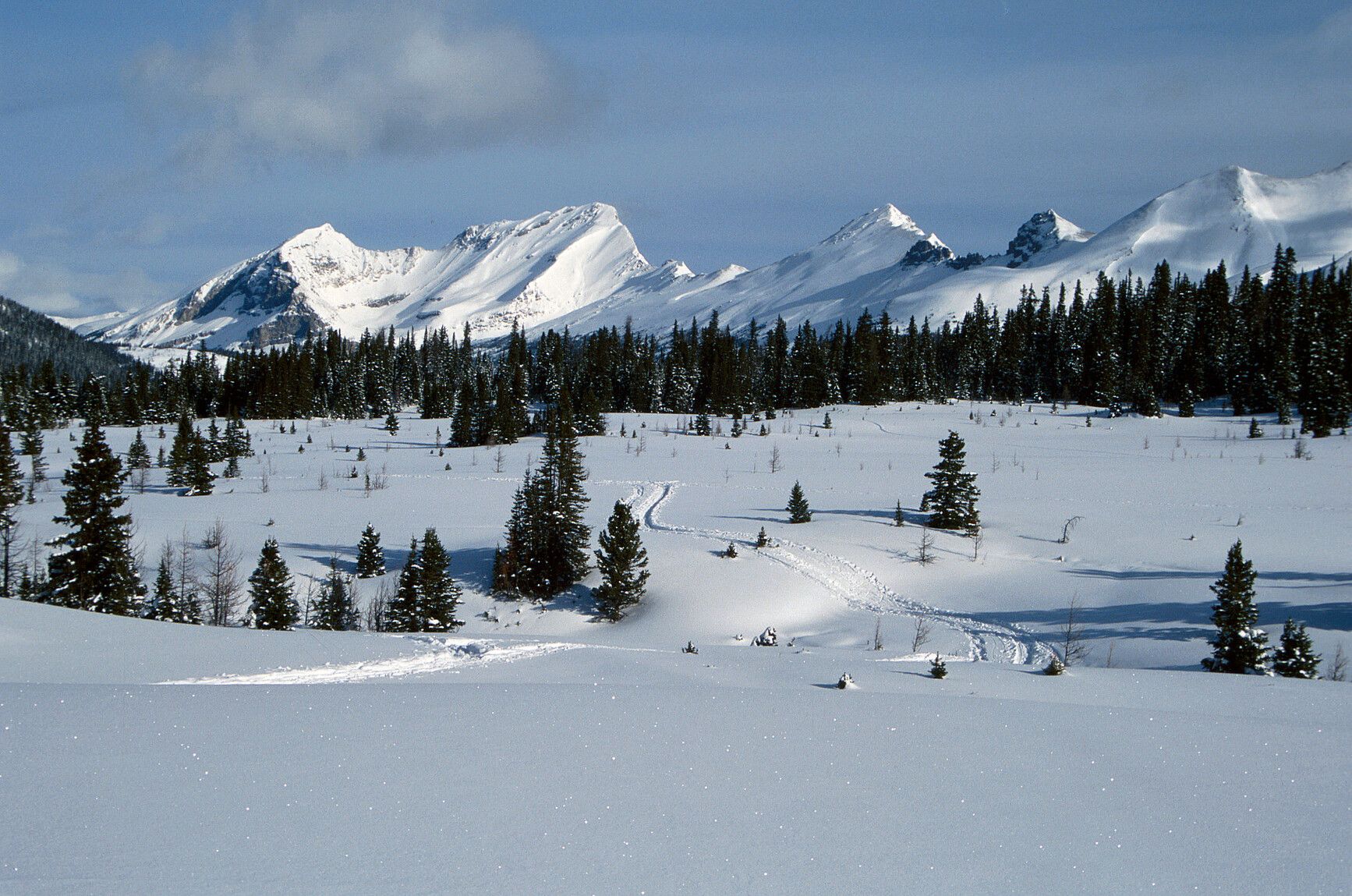 Winter beauty in Mount Assiniboine Park with snowy meadows, winding alpine trails, and towering peaks beneath a clear blue sky.
