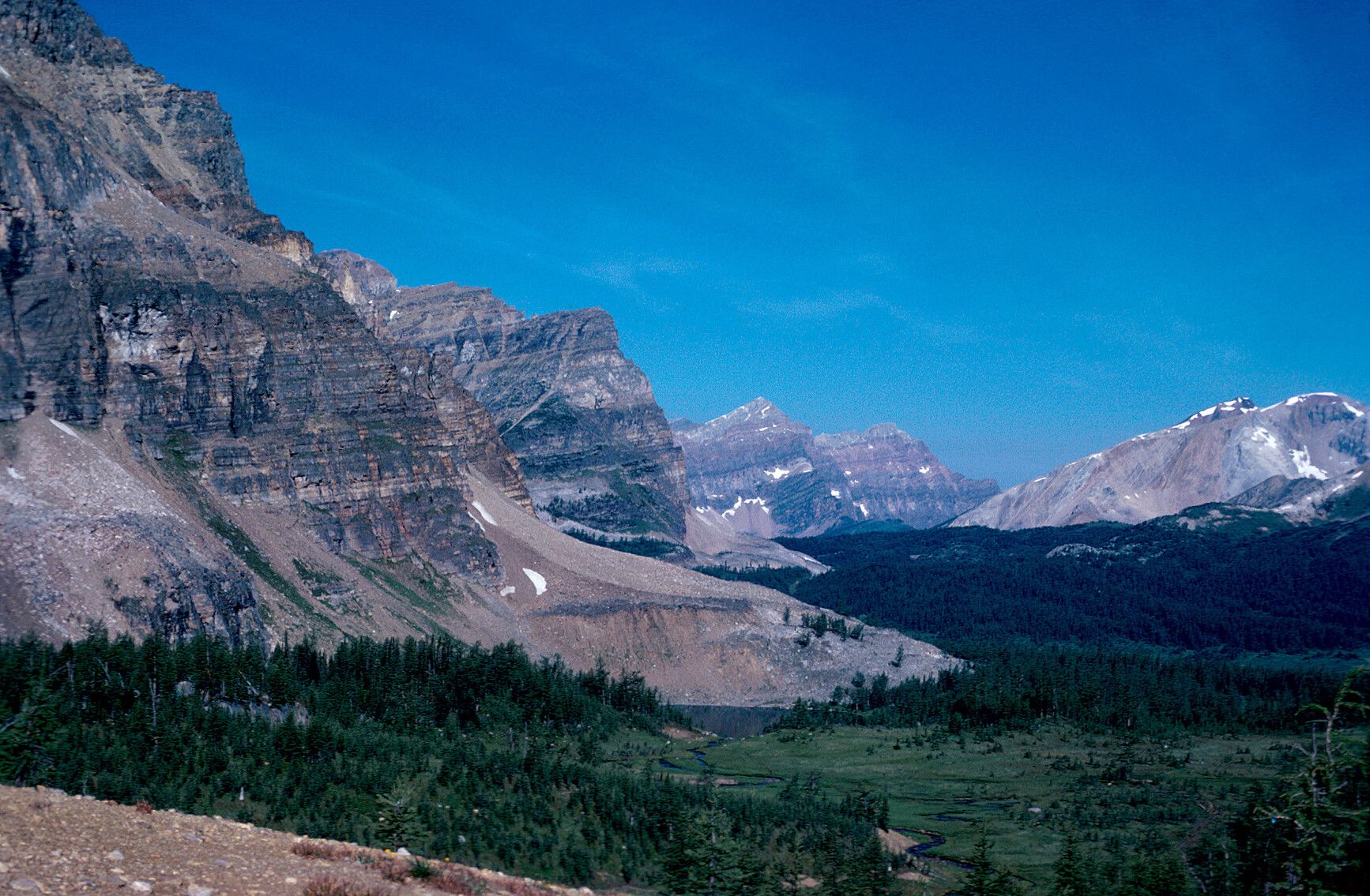 Alpine grandeur in Mount Assiniboine Park with rocky peaks, green forests, a winding stream, and a glacial lake nestled below an alluvial flow in a sunlit valley beneath a clear blue sky.