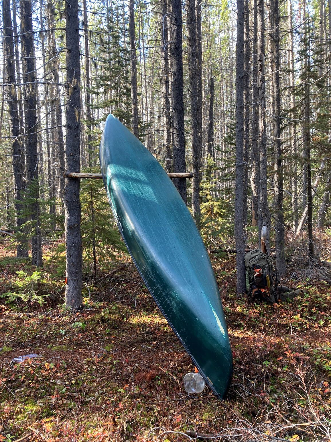 A canoe rest along portage trail three surrounded by lodgepole pine forest. Neneikekh/Nanika-Kidprice Park.