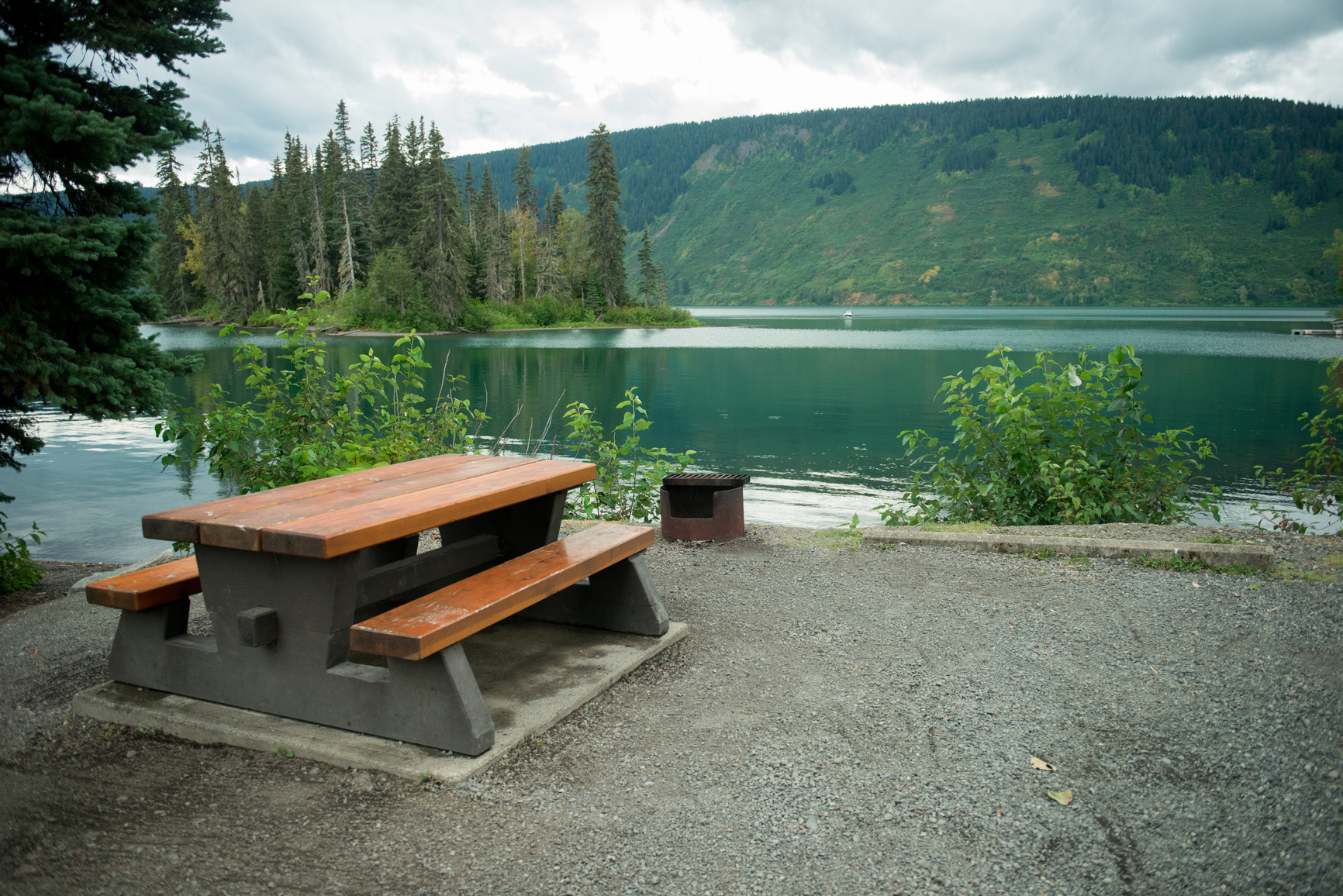 Picnic table overlooking the lake.