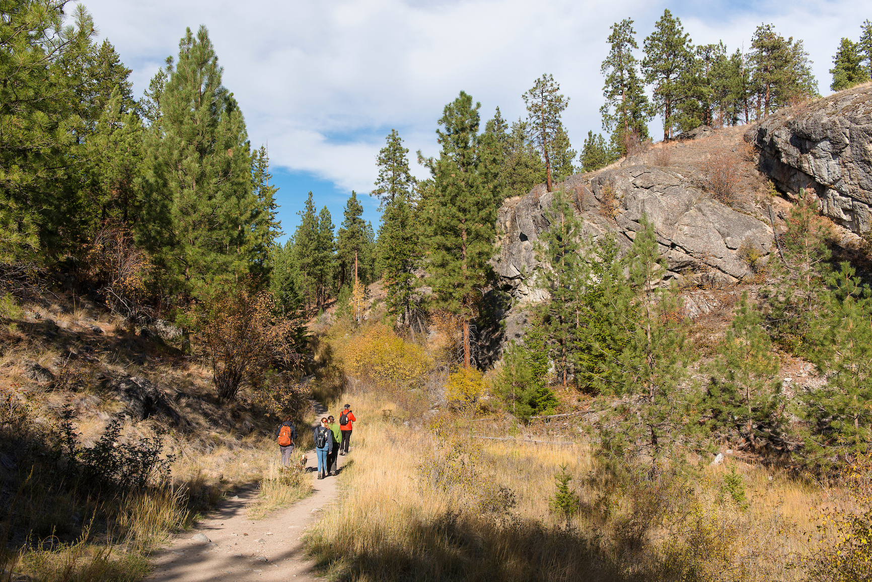 Group of hikers using trail system through section with bluffs, trees, and tall grasses.