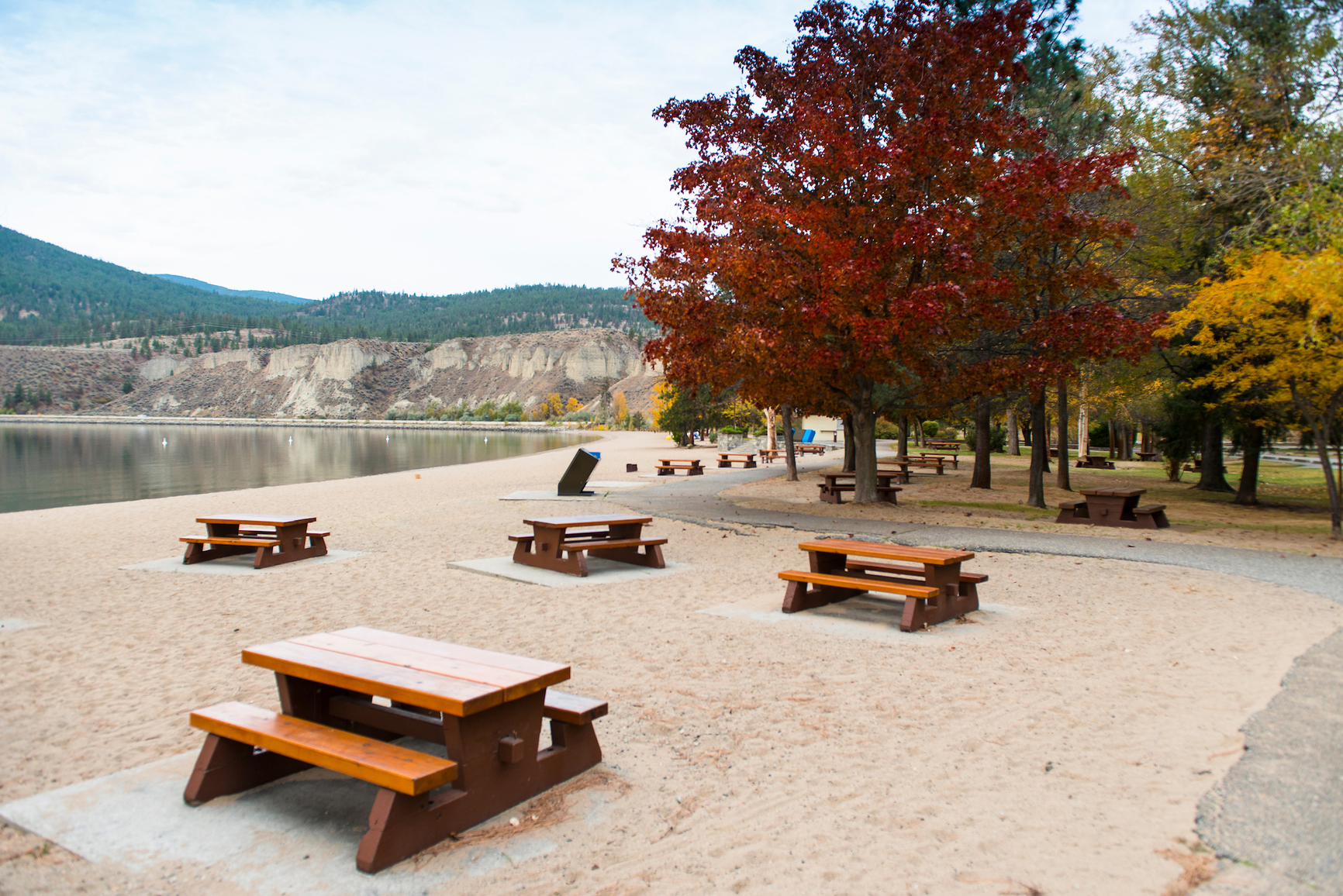 Vacant day use beach area with picnic tables and changing colour deciduous trees.