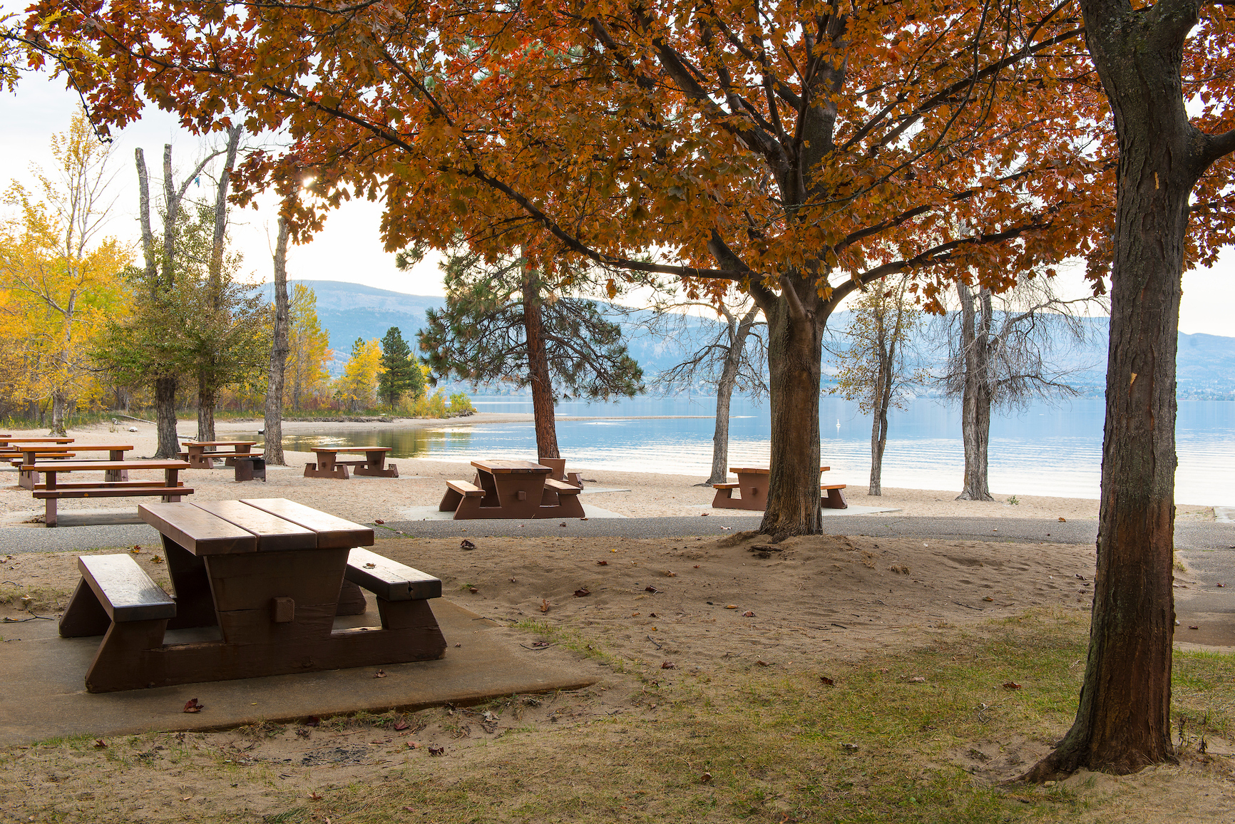 Vacant day use beach area with picnic tables and changing colour deciduous trees.