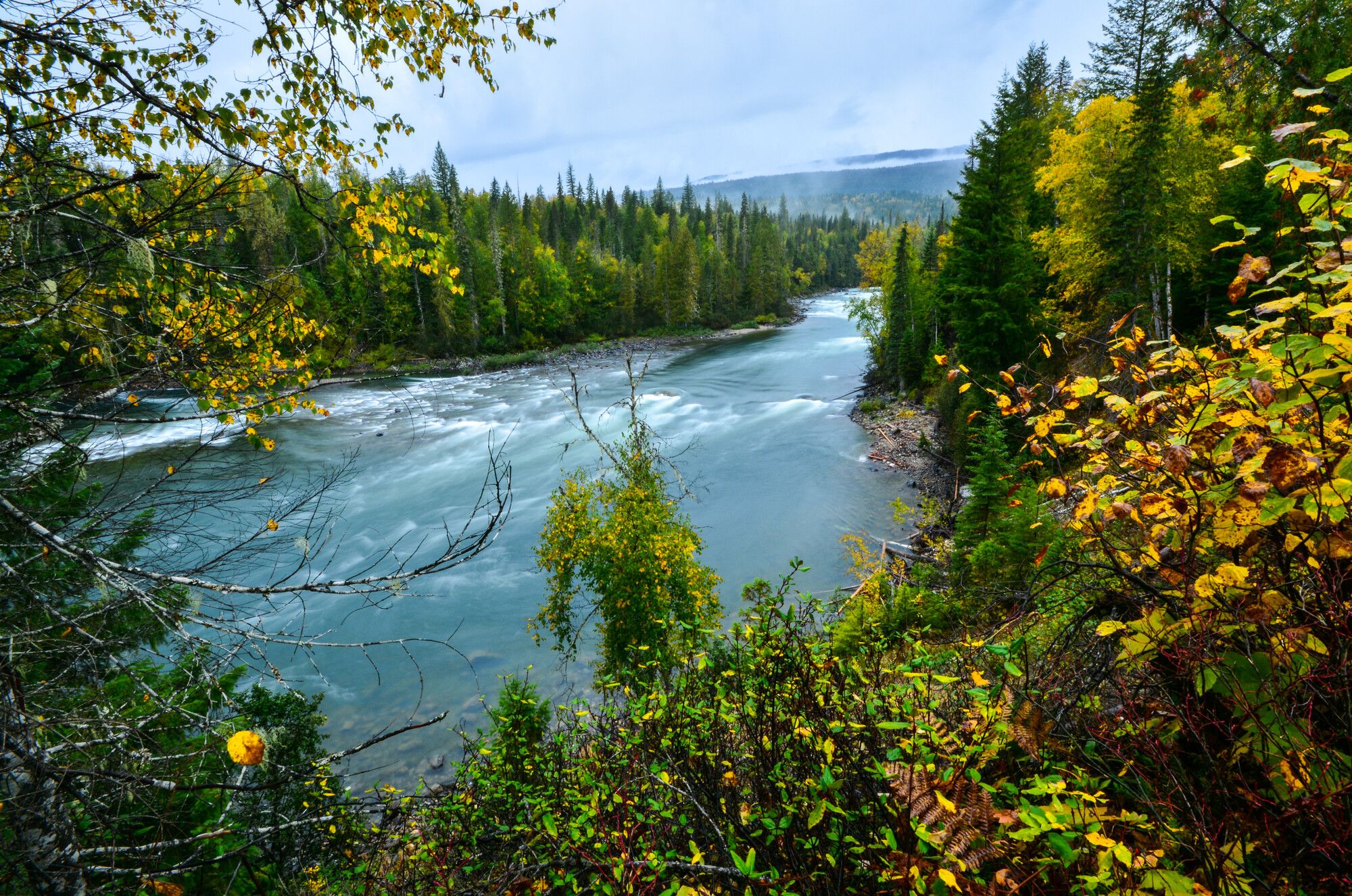 The rushing water of Clearwater River in the fall. Wells Gray Park.