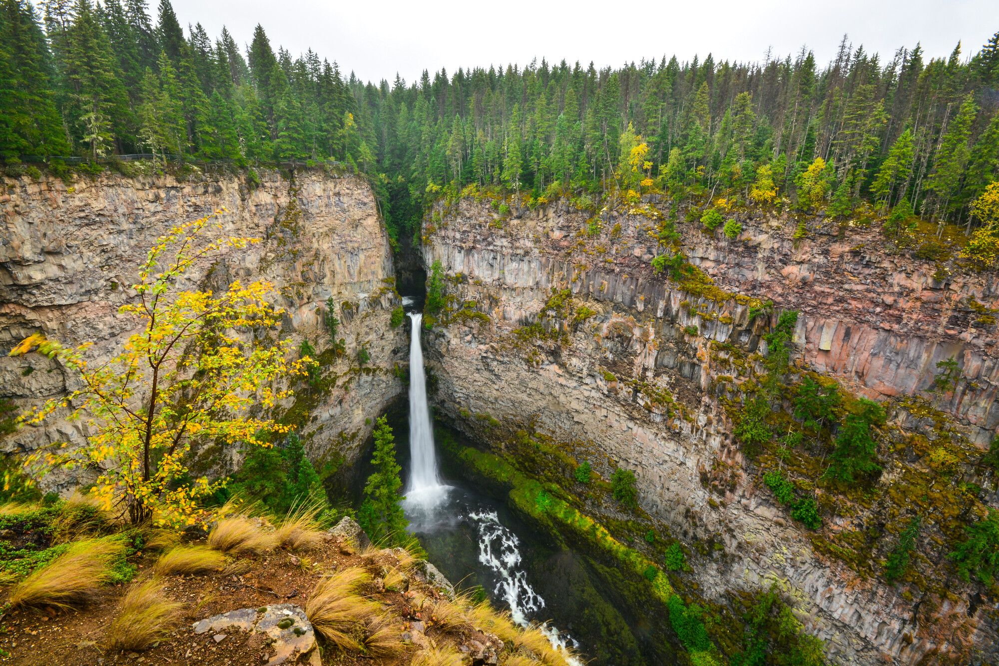 Spahats Creek Falls evokes awe as it plunges 75 meters into the depths. Its thunderous roar echoes through the surrounding landscape. Wells Gray Park.