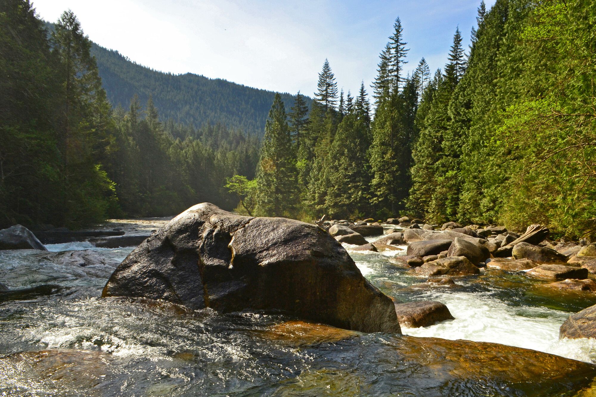Mountains and forest are the backdrop to Golden Creek and its large creek bed boulders. Golden Ears Park.