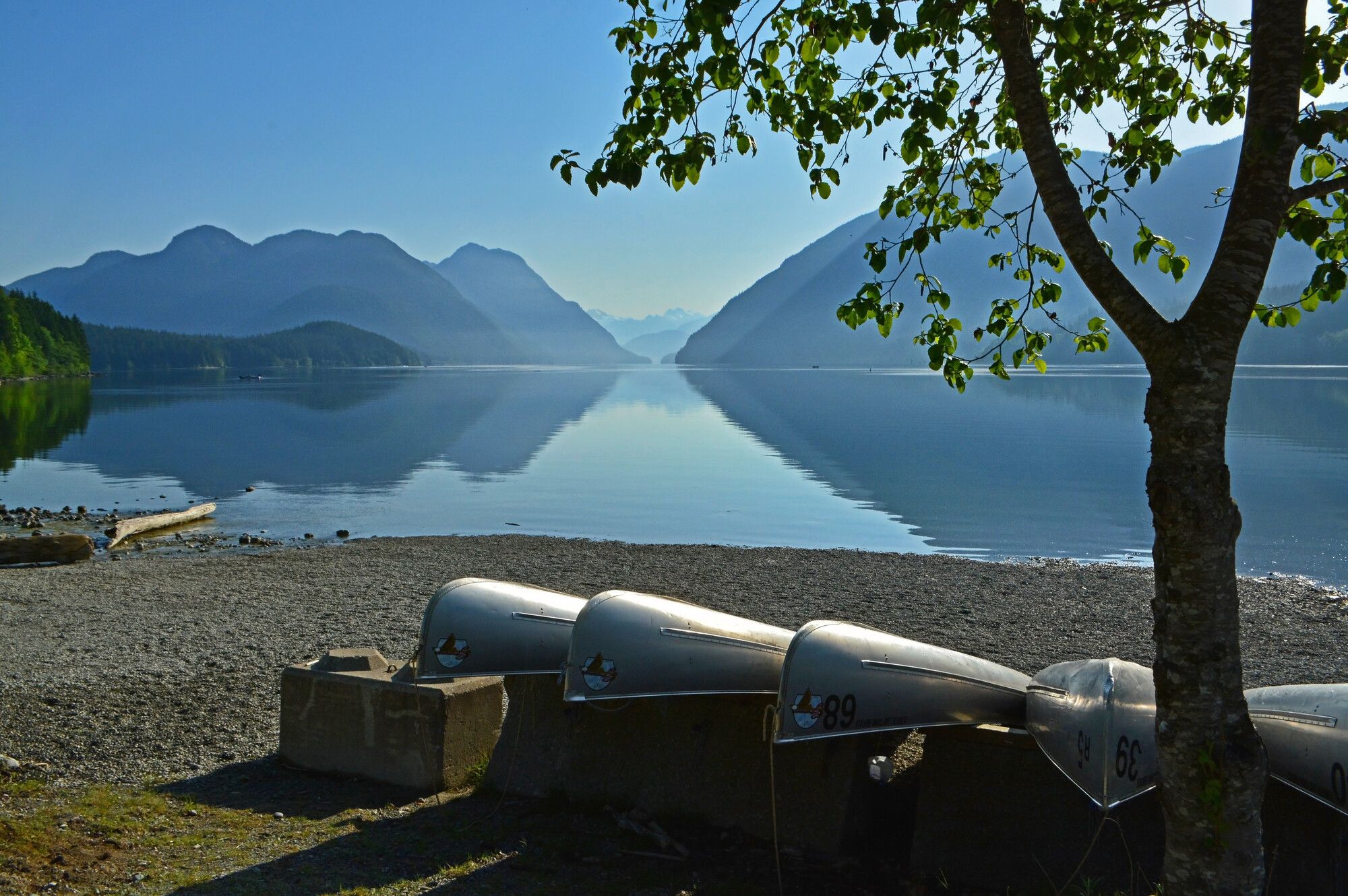 Mountains appear to rise from the calm waters of Alouette Lake. Canoes await visitors at the shore. Golden Ears Park.