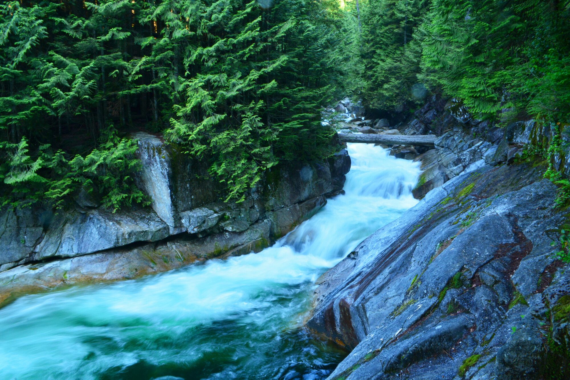 Golden Creek flowing down the canyon through the forest in Golden Ears Park.