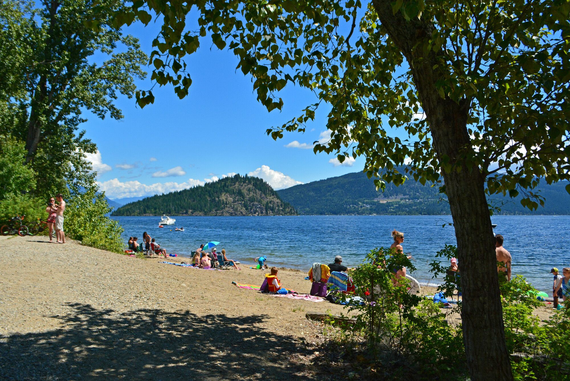 Families enjoying the day-use beach area at Shuswap Lake Park.
