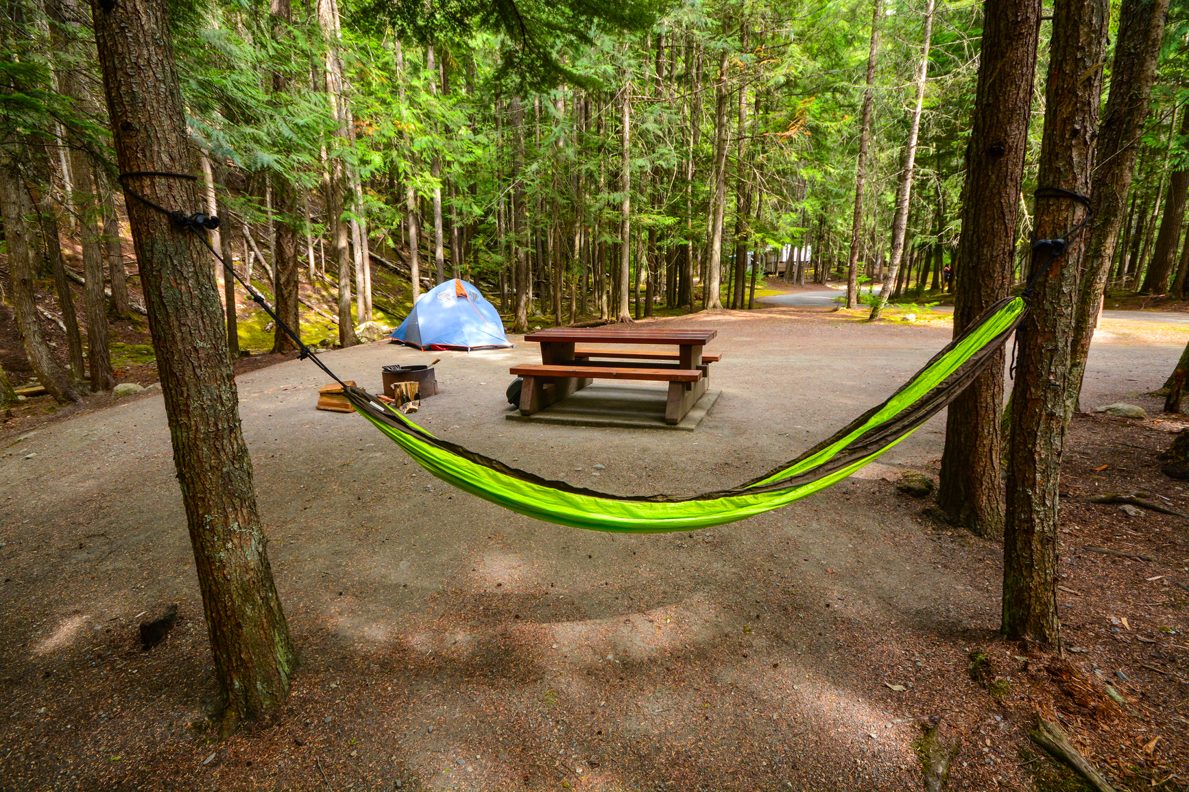 View of campsite and tent with a hammock between two trees.