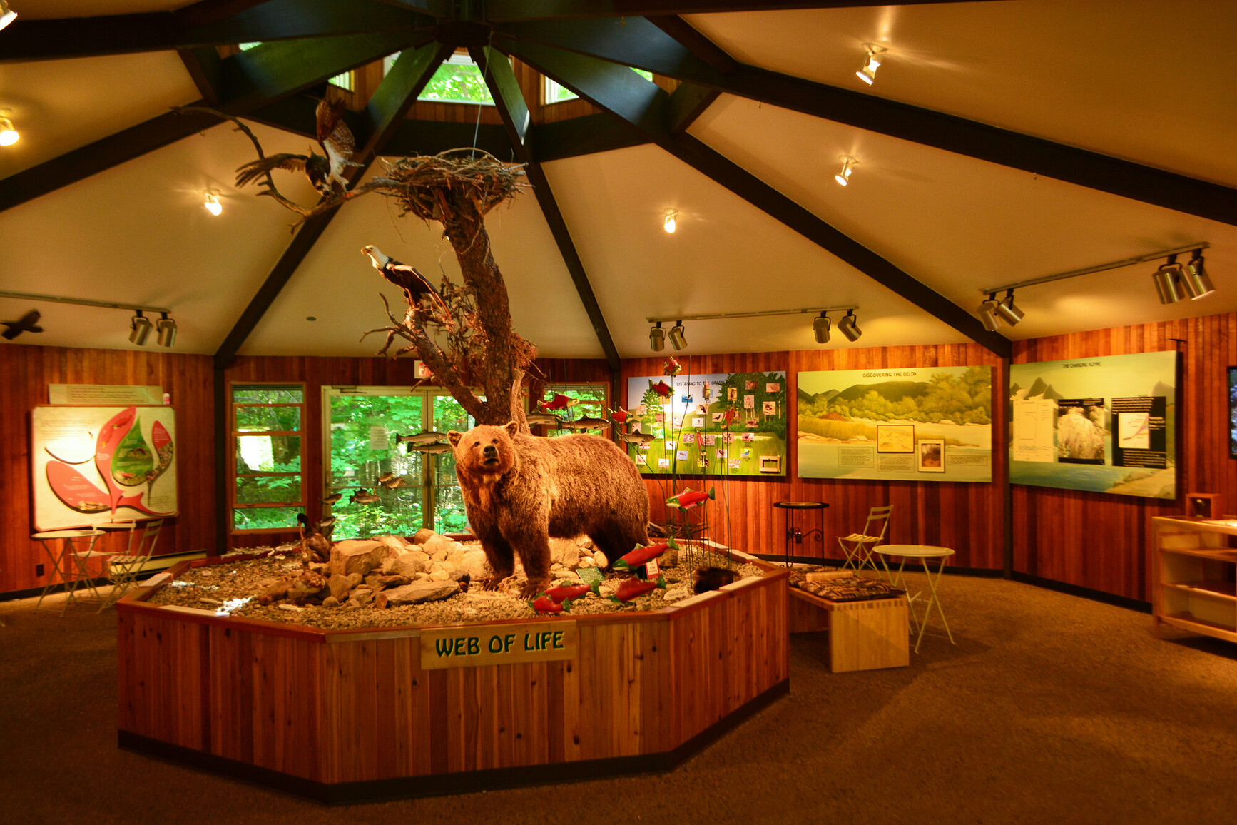 Inside visitor centre. Taxidermized bear and info graphics in centre.