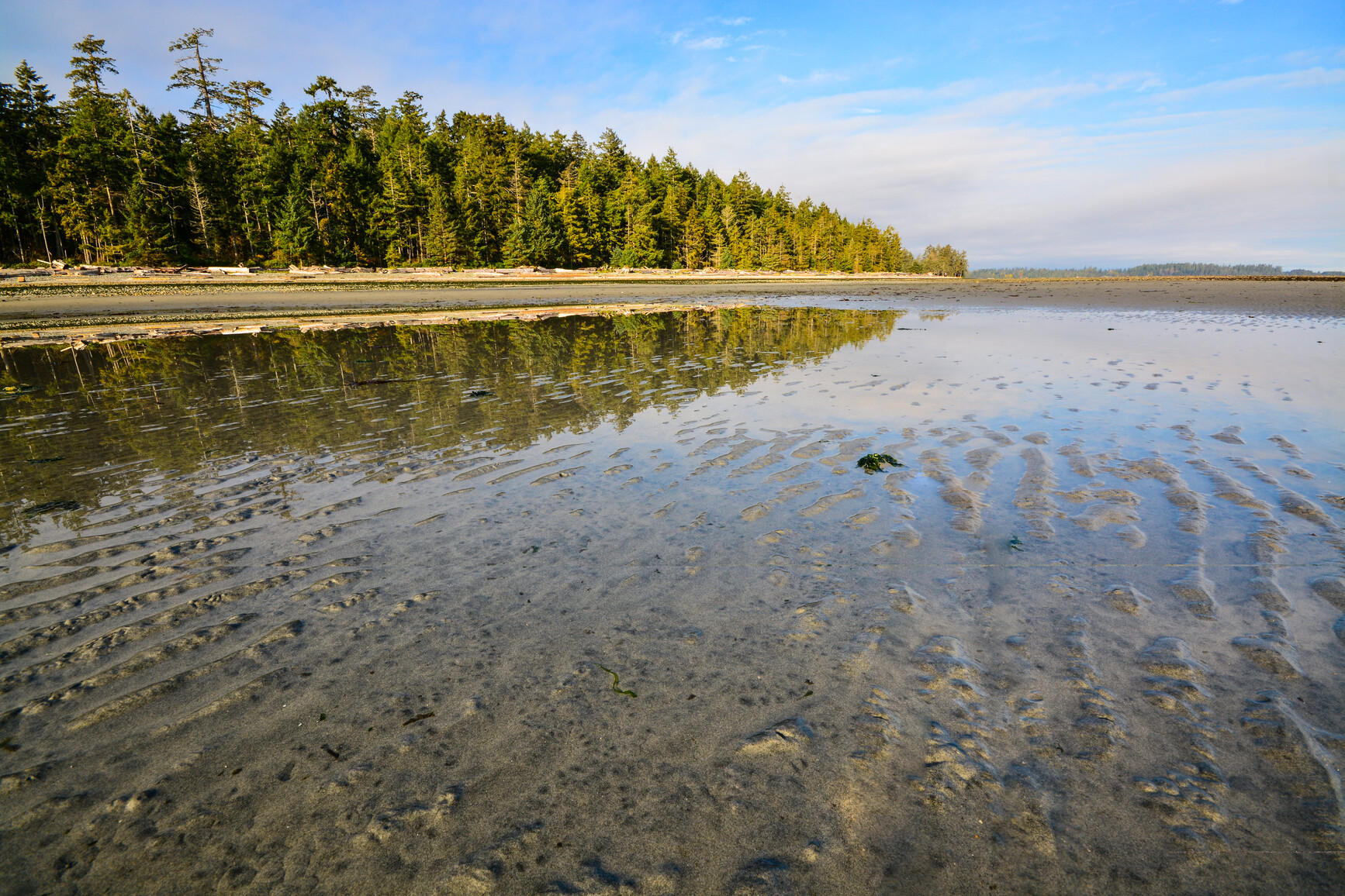 Ripples form in the sand from the tides. Forest lines the shoreline covered in logs. Miracle Beach Park.