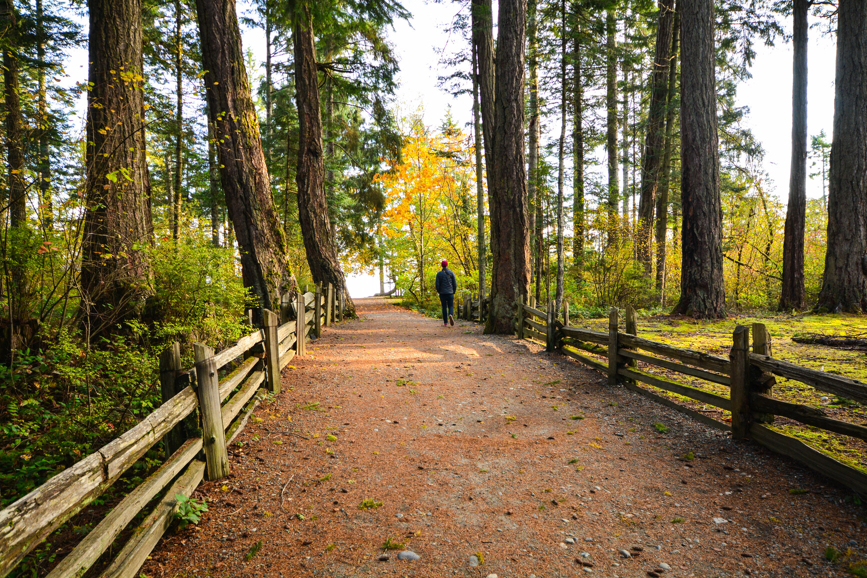 A park visitor walks a fence lined trail in Miracle Beach Park.