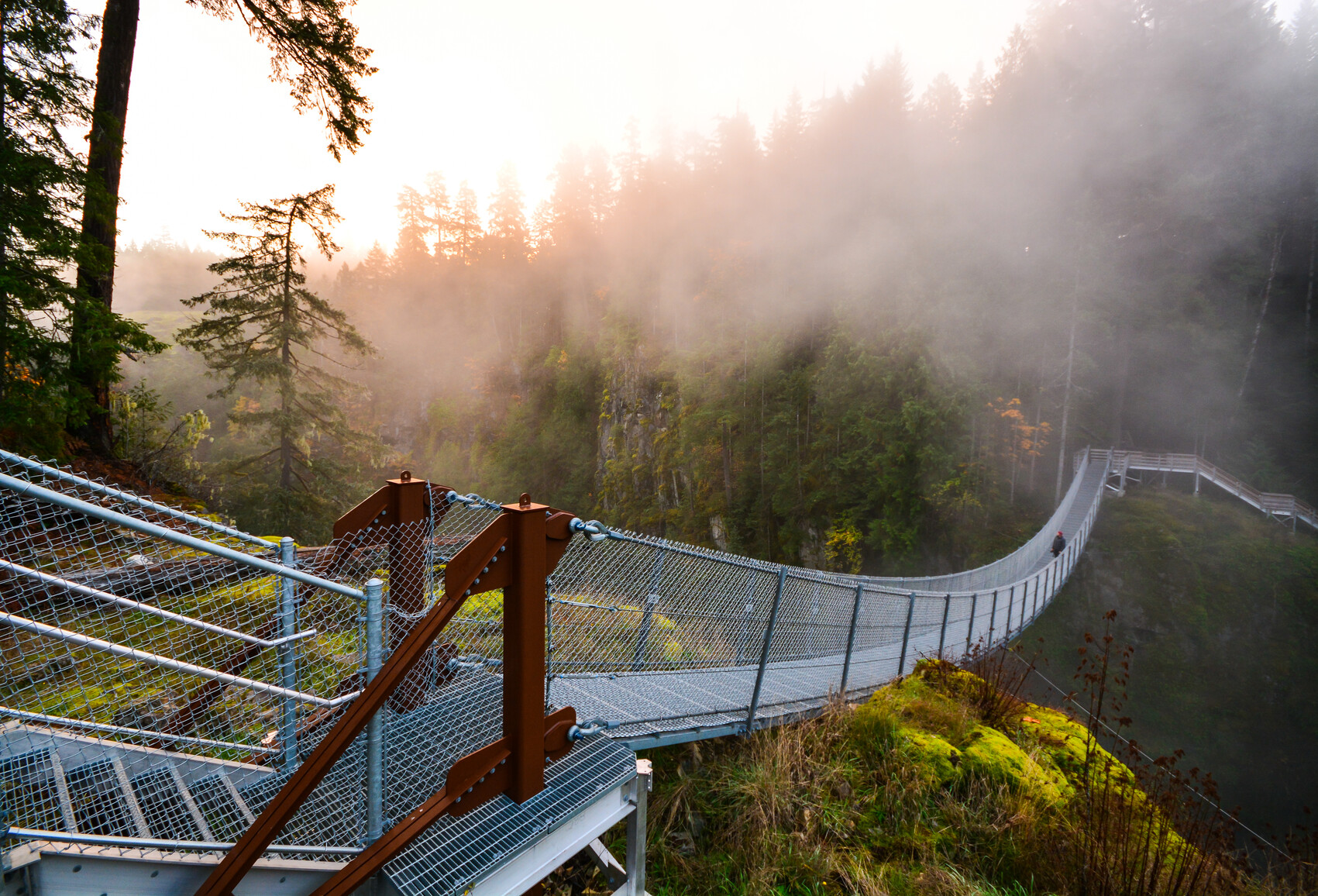 Suspension bridge with visitor crossing. Foggy scene with autumn trees in the forest.
