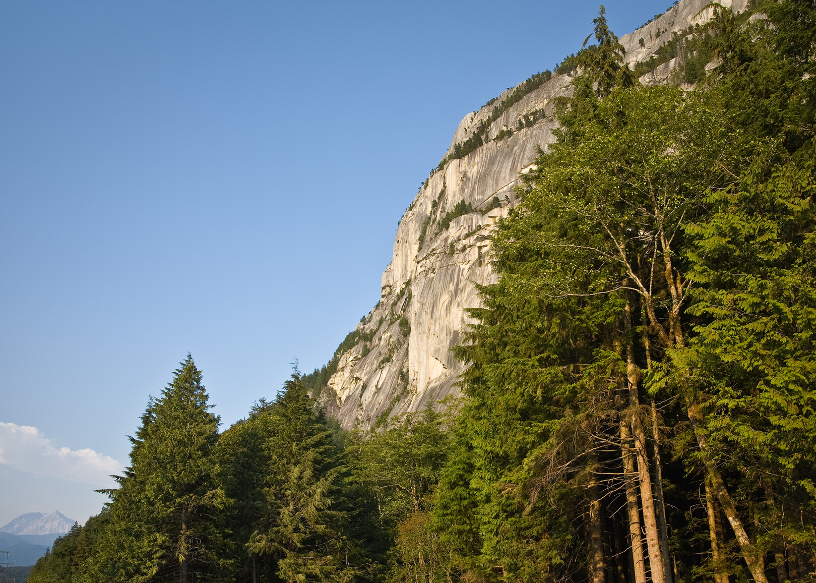 View of Stawamus Chief face. Forest at base of mountain.