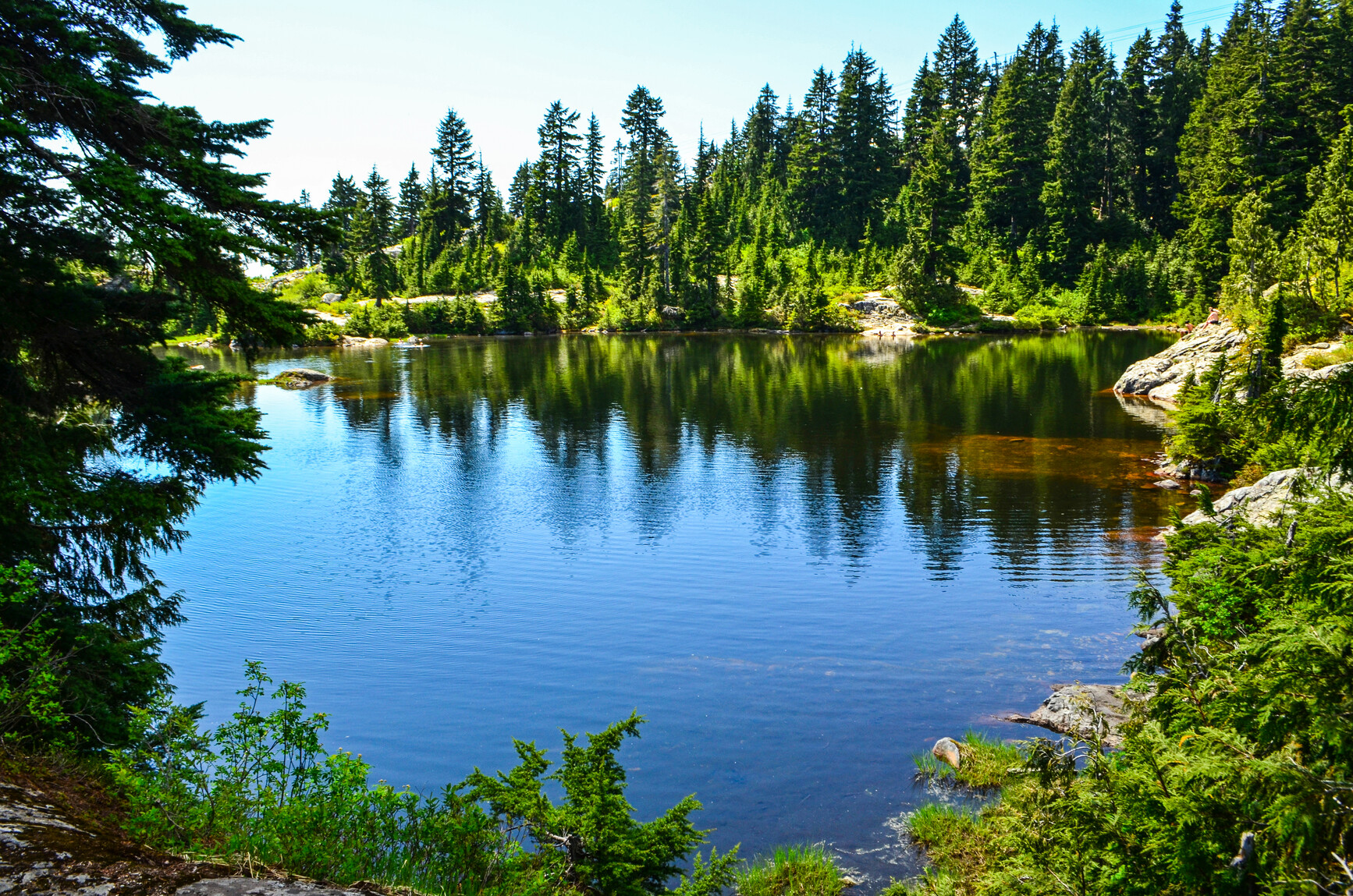 View of one of the lakes in Mount Seymour Park. The shore is lined with rocky outcrops and forest.