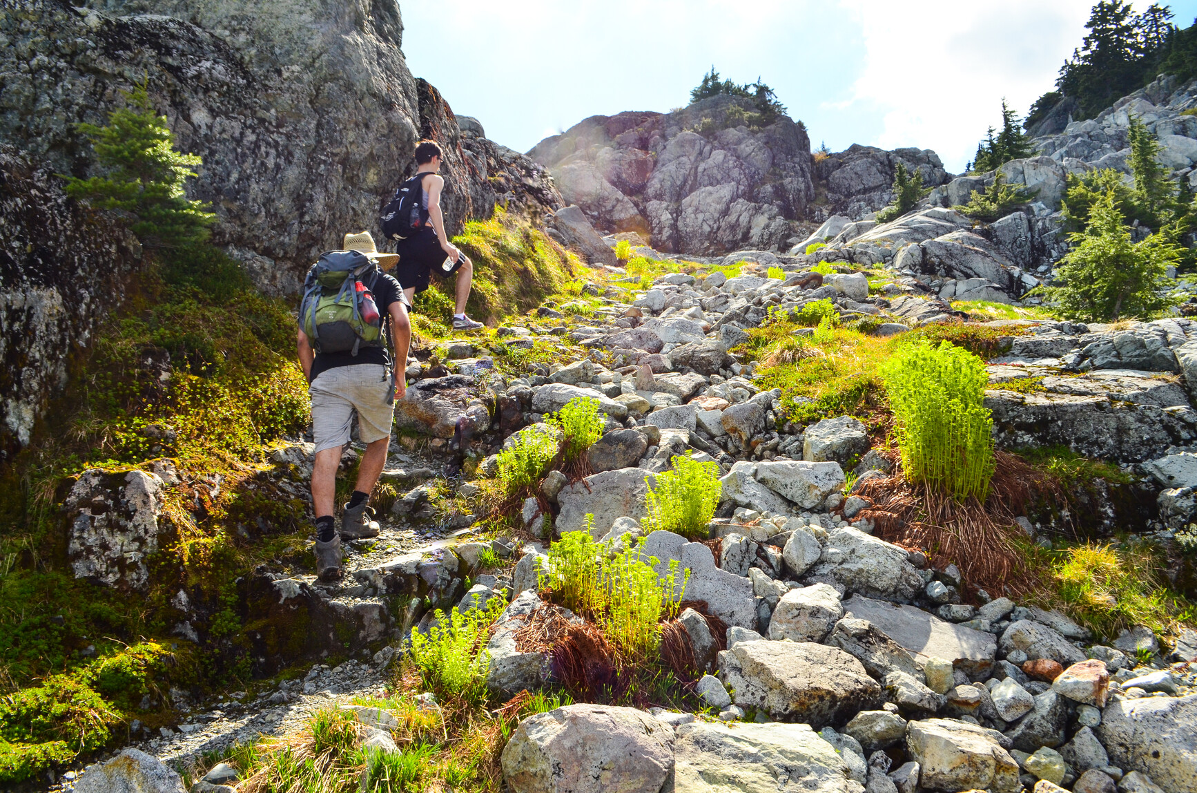 Hikers in a rocky, alpine area trail in the park.