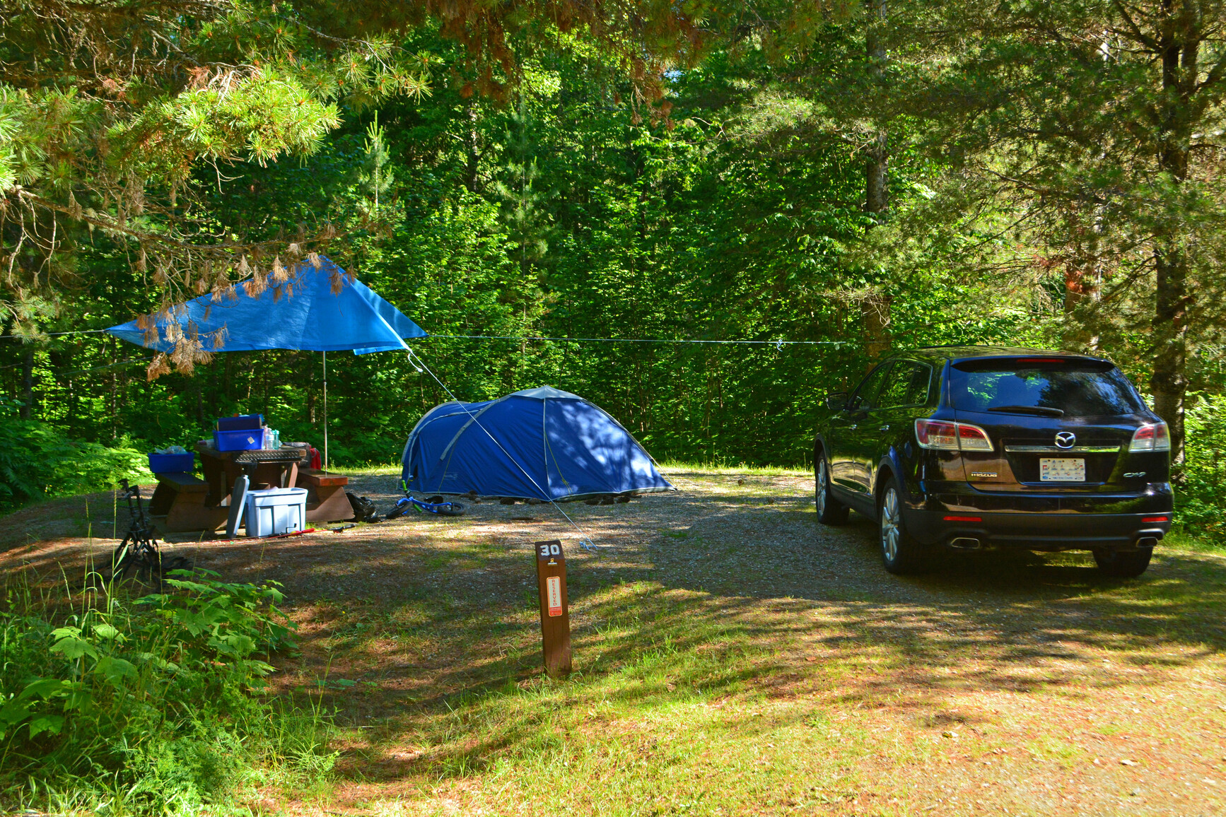Forest campsite with tent and gear.