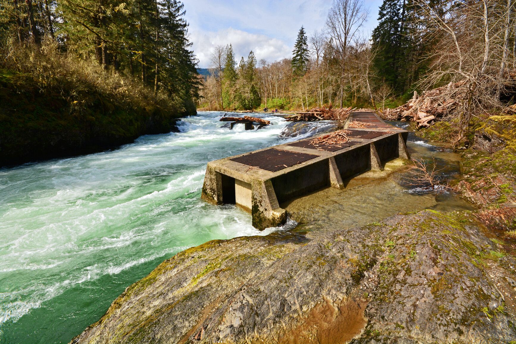 Fish ladder on the river. Cowichan River Park.