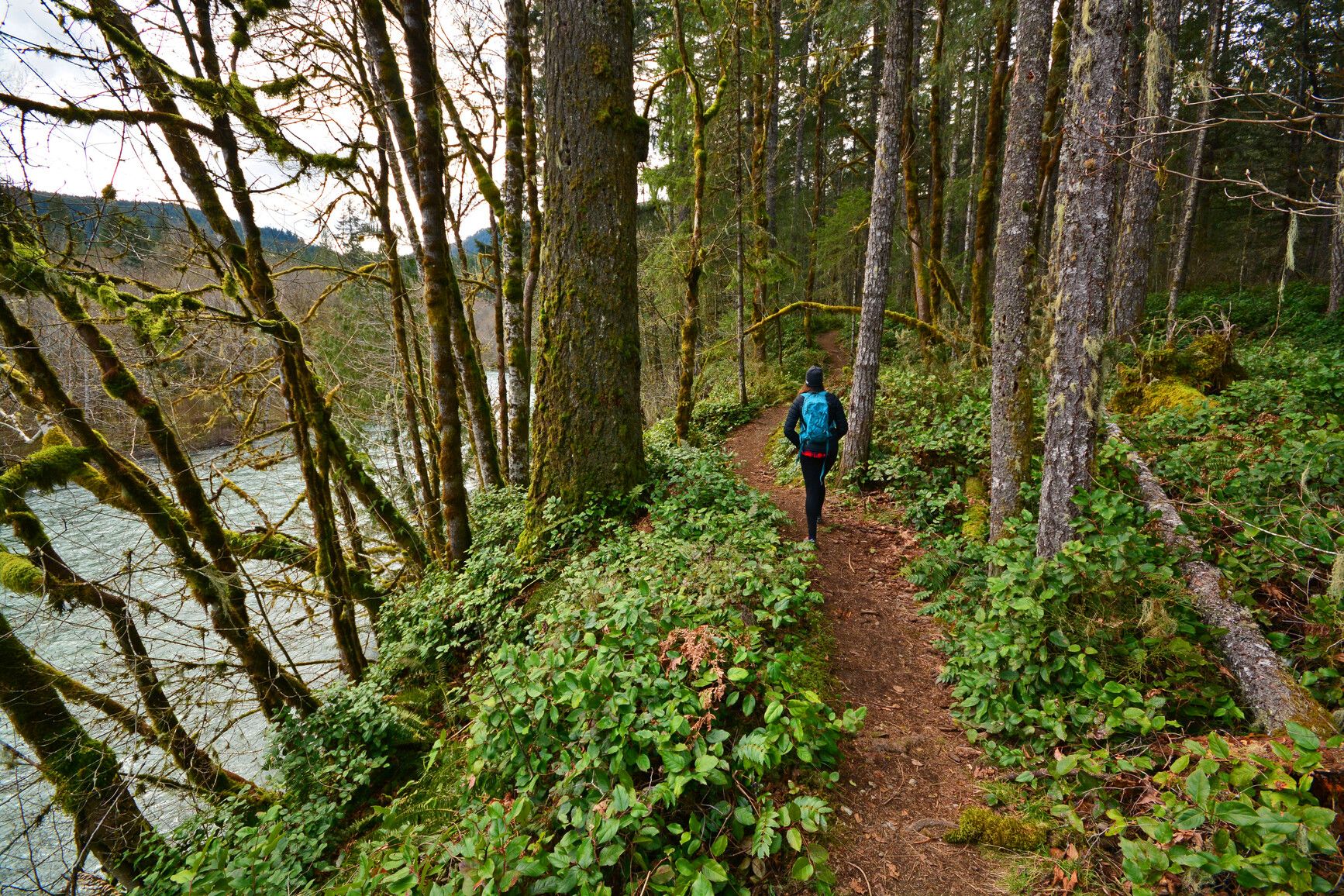 Hiker walking a forest-lined trail above the Cowichan River. Cowichan River Park.