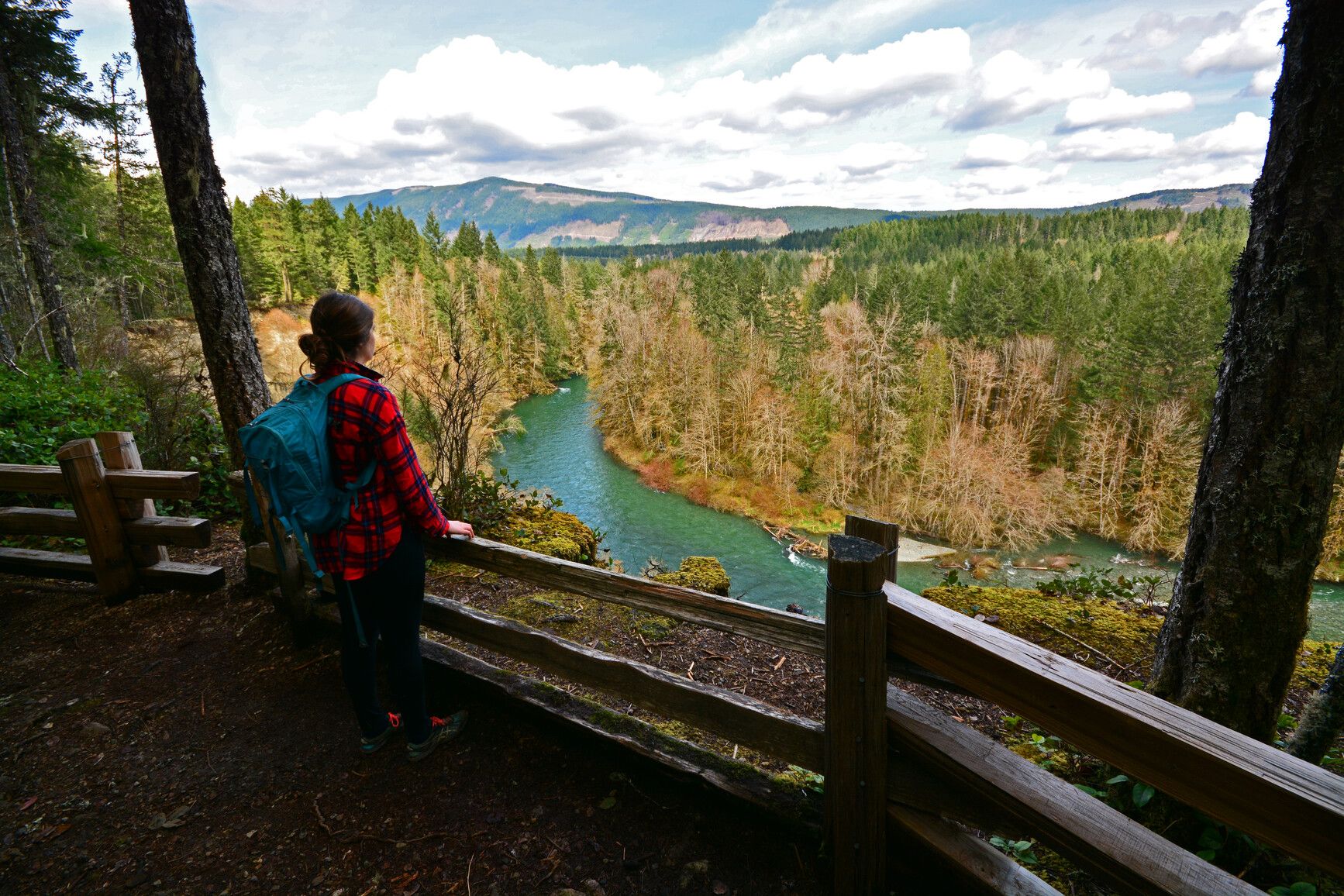Viewing the river and valley from a lookout point in Cowichan River Park.