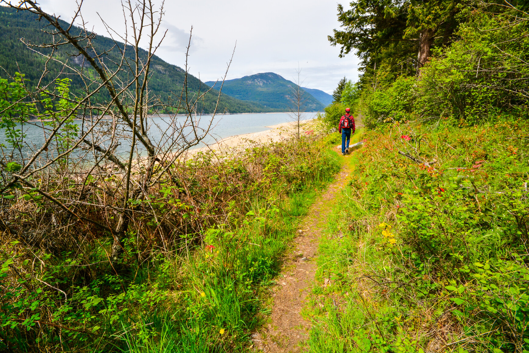 Hiker walking on a trail by Lower Arrow Lake.  Seen on the other side of the lake are forest covered mountains.