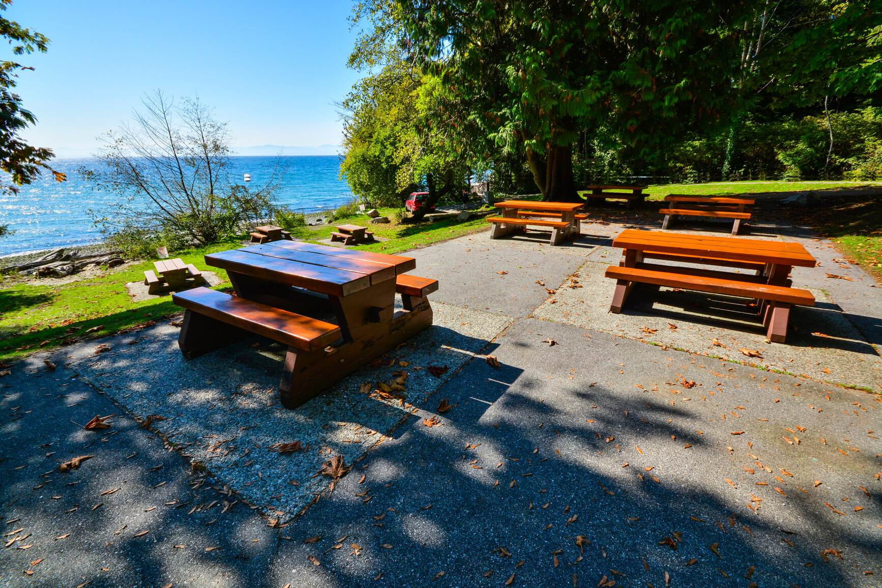 Day-use picnic area with many picnic tables on a concrete pad surrounded by grass and trees. Overlooking the beach and ocean with mountains in the distance.
