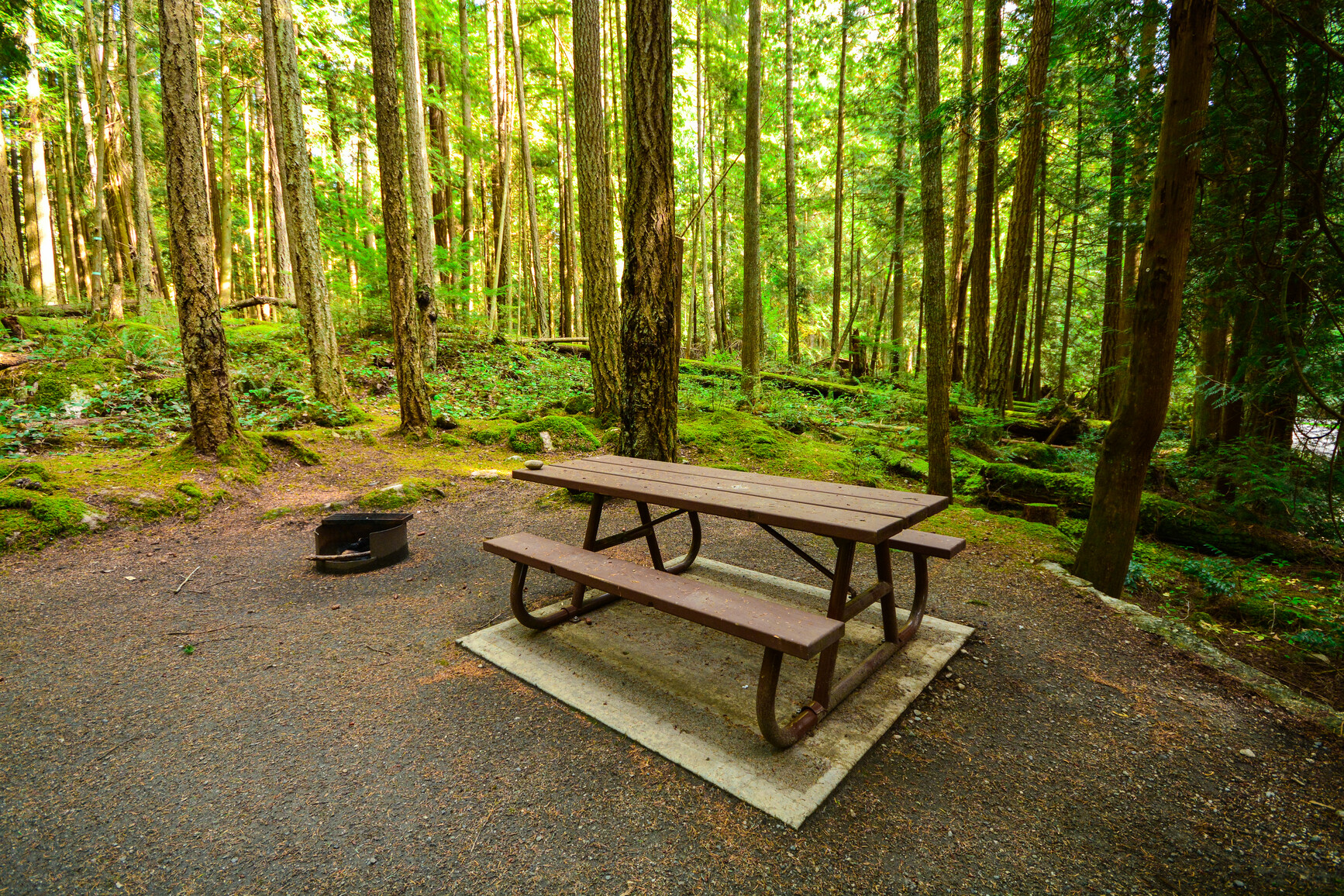 A forested campsite with a picnic table and a fire pit