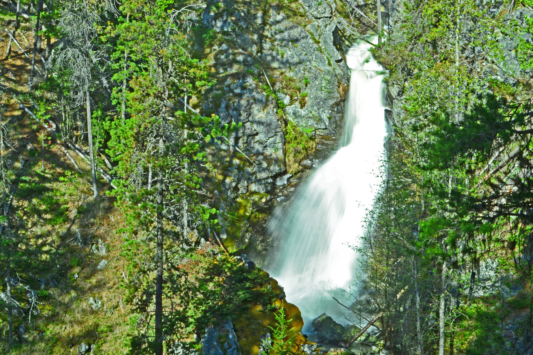 Photo of waterfall. Trees and large rocks covered in moss surround the waterfall.