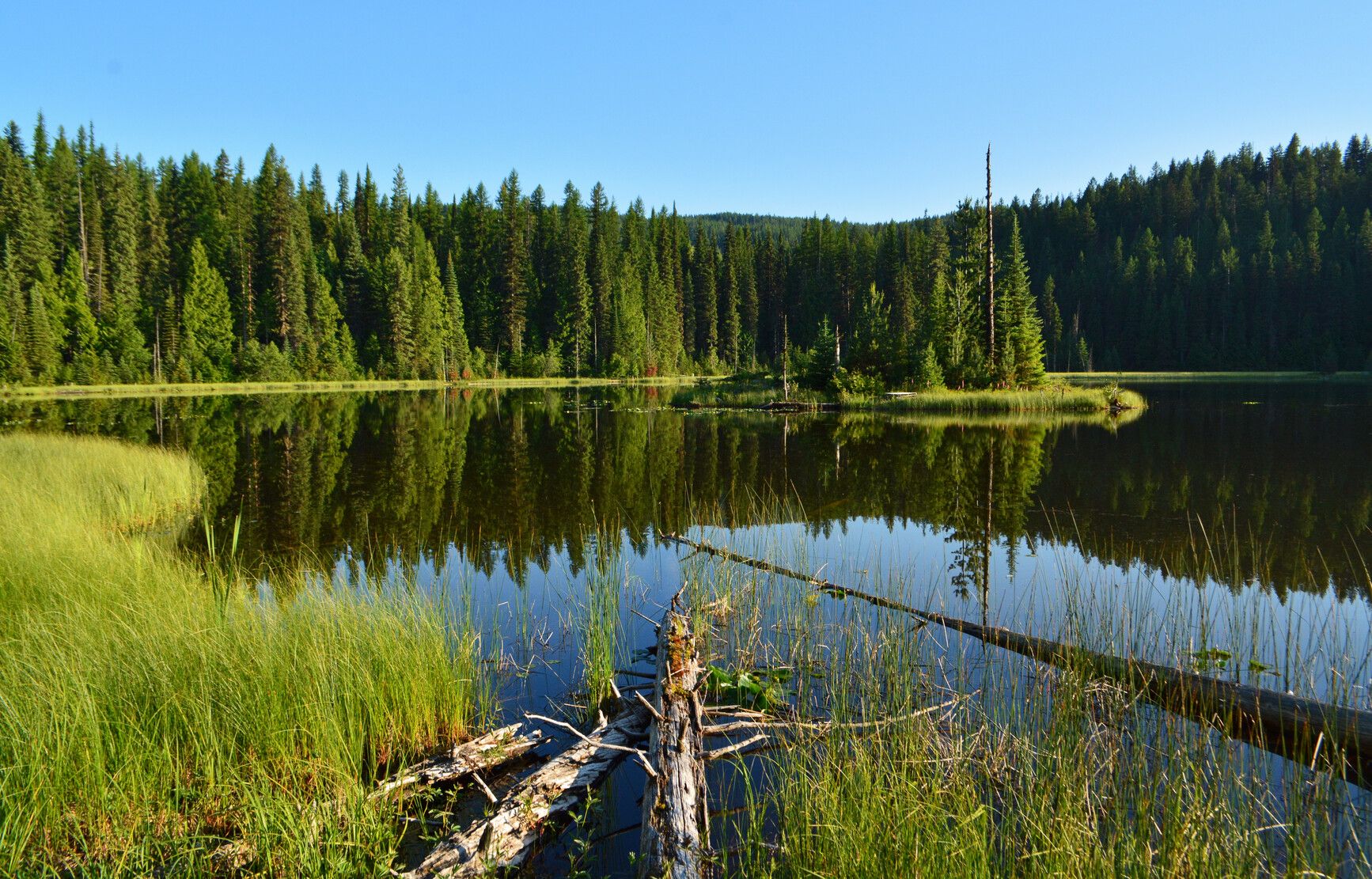 Explore the wetlands and surrounding forest of Second Lake at Champion Lakes Park.