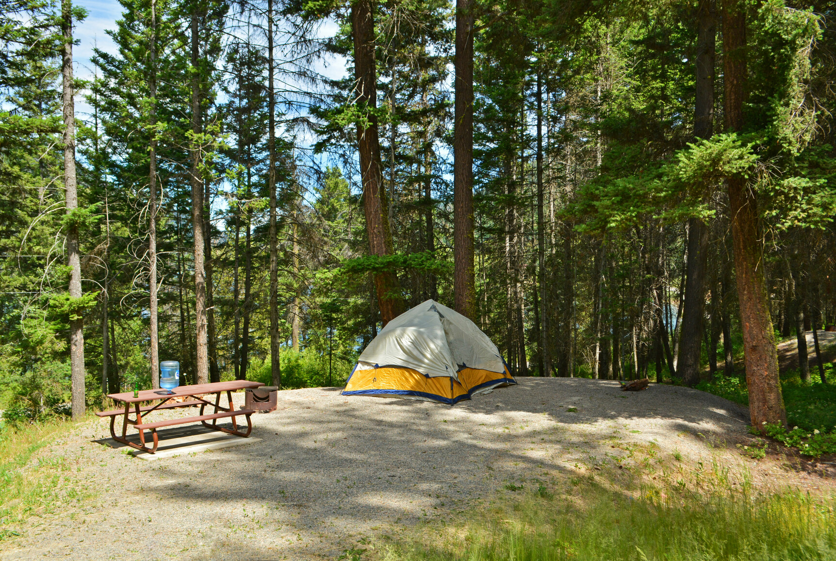 A campsite with a tent, picnic table and fire ring surrounded by trees and forest.