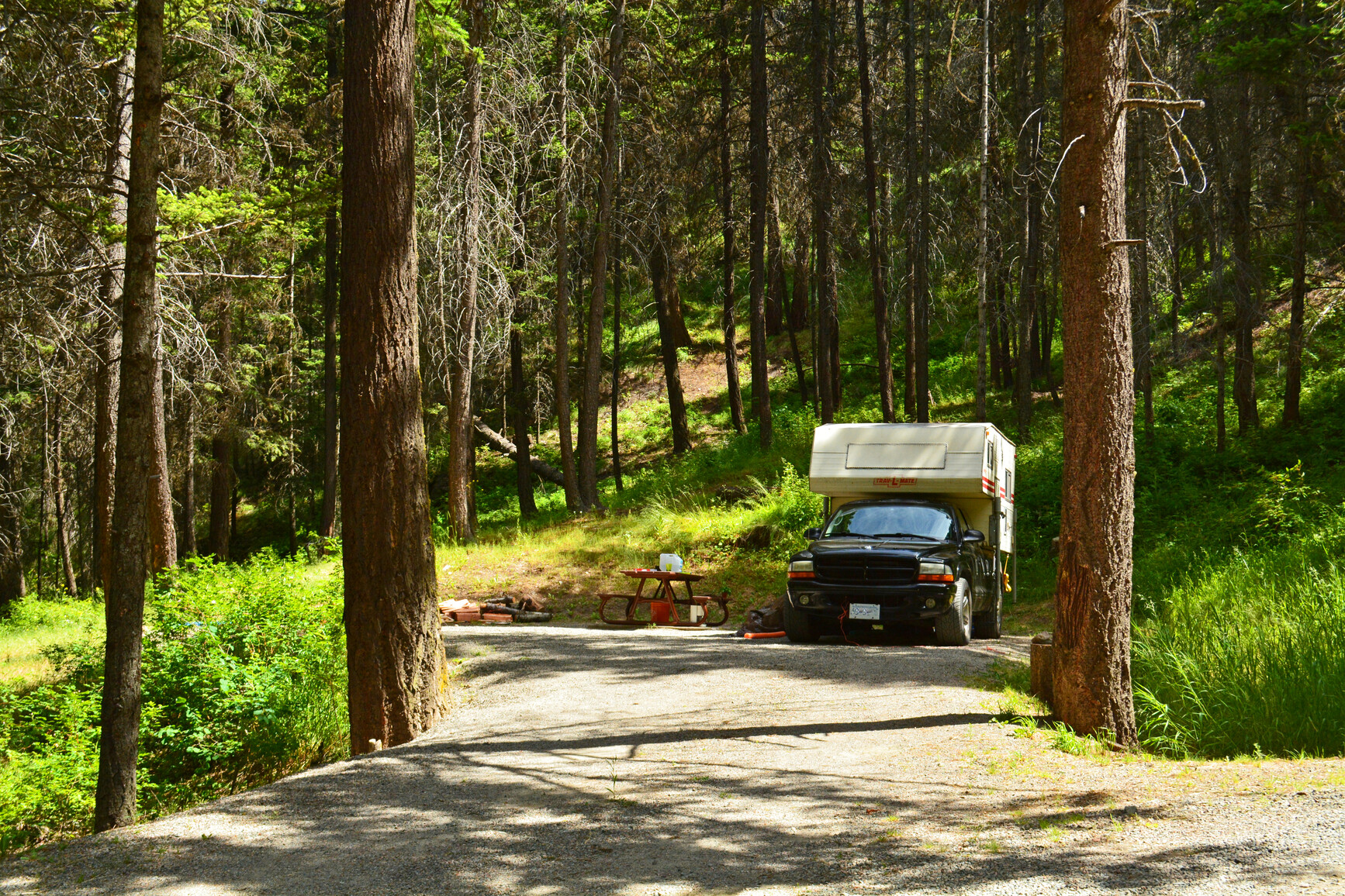 A campsite with a truck, camper and picnic table surrounded by trees and forest.