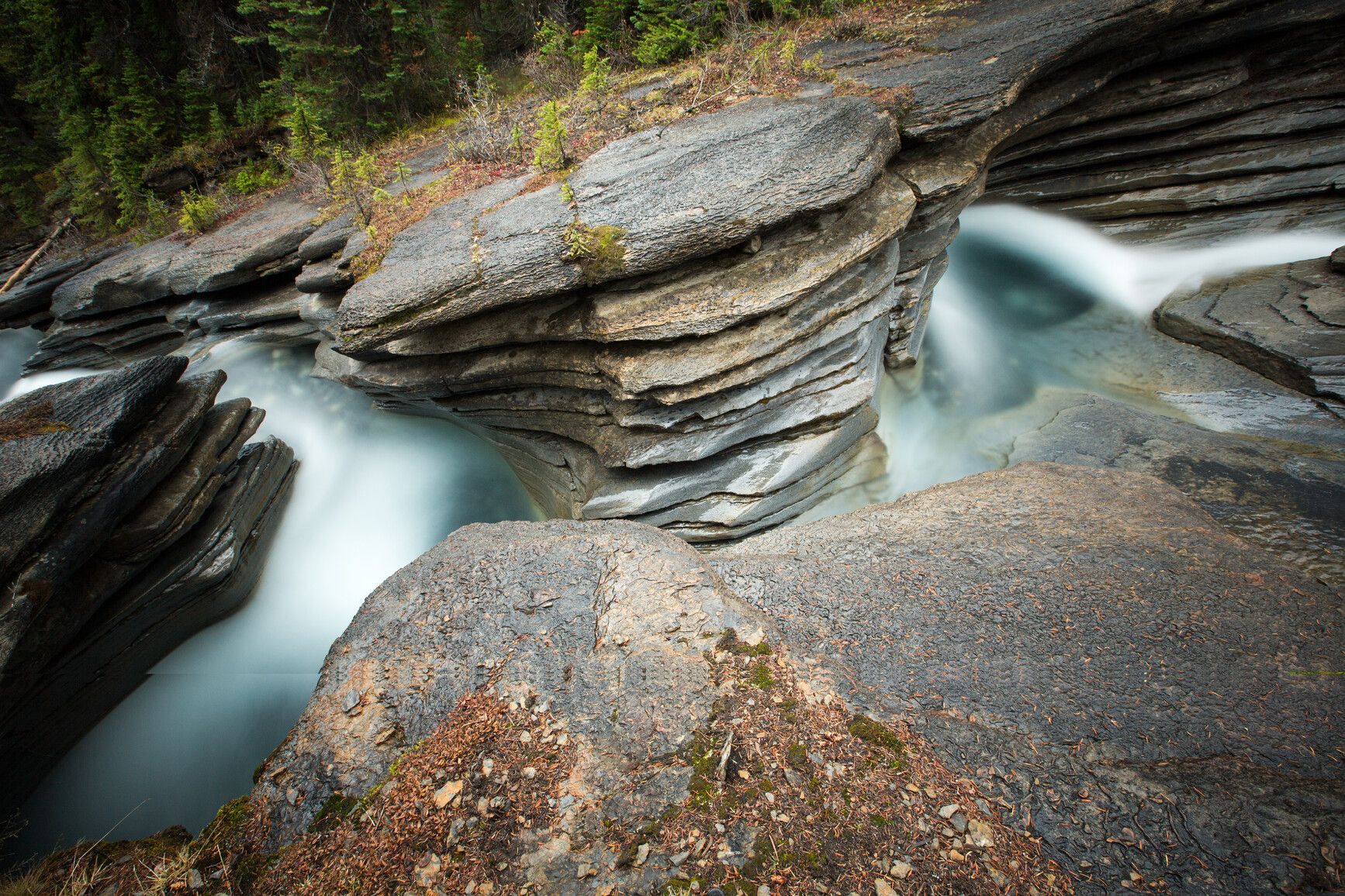 Toboggan Creek cuts its way through the limestone canyon it has created. The erosion of the sedimentary rock creates unique geological formations. Mount Robson Park.
