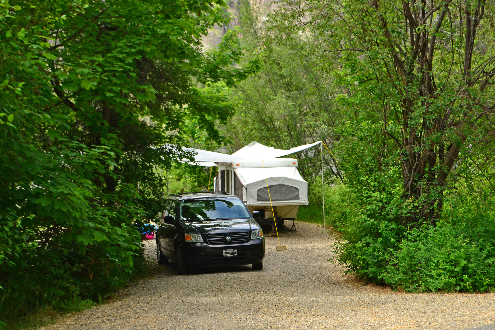 Photo of a campsite surrounded by trees and shrubs. There is a vehicle and a tent trailer in the campsite.