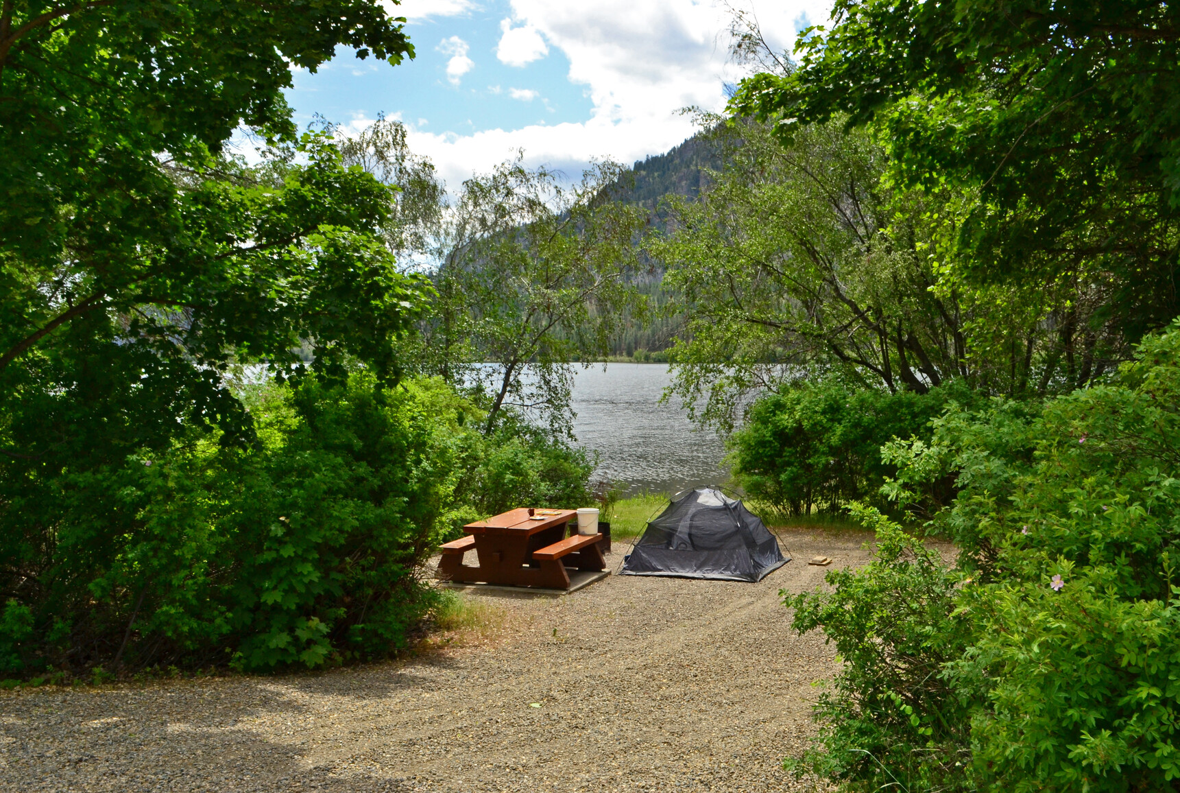 Photo of a campsite with a view of Vaseux Lake. There is a picnic table, firepit, and tent set up in the campsite. Shrubs and forest surround the campsite. Forested mountains across the lake.