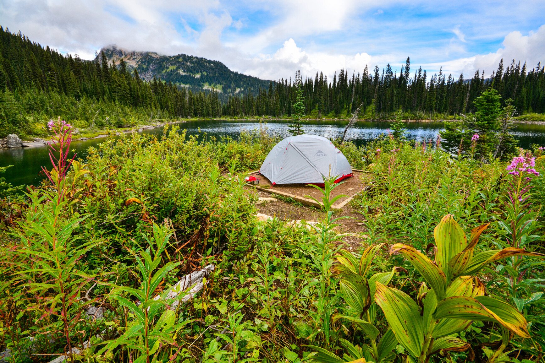 Photo of a tent set up on a tent pad by a lake. Tall shrubs and wildflowers surround the tent pad. Across the small lake is forest and mountains.