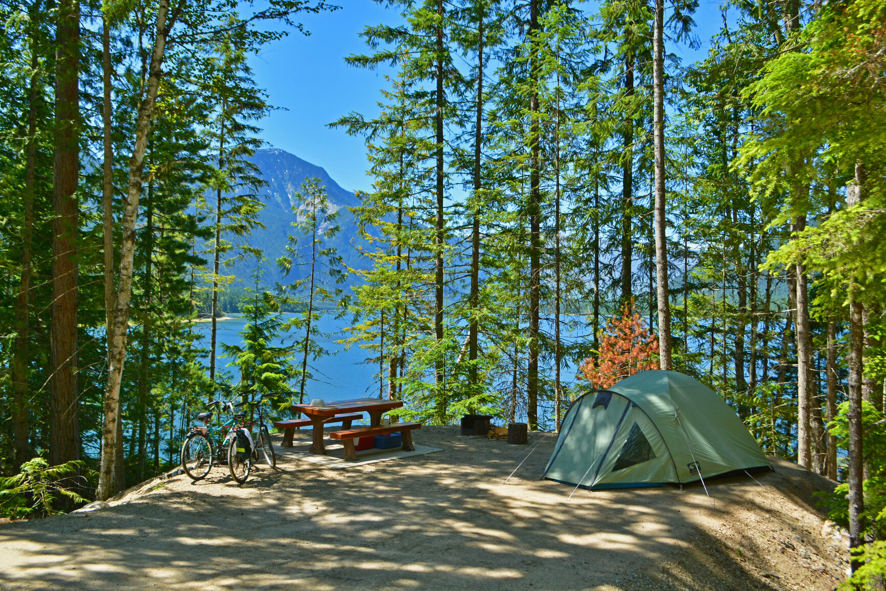 McDonald Creek Park - A campsite surrounded by trees and forest that overlooks Arrow Lake. A tent, picnic table, fire ring and 2 bikes are in the campsite.