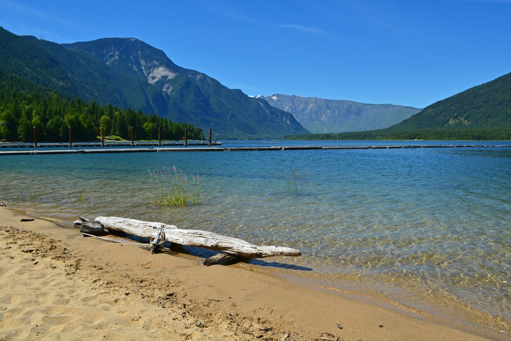 McDonald Creek Park, Upper Arrow Lake - A sandy beach at Arrow Lake with a piece of drift wood in the foreground. Trees, forest and mountains are in the background.