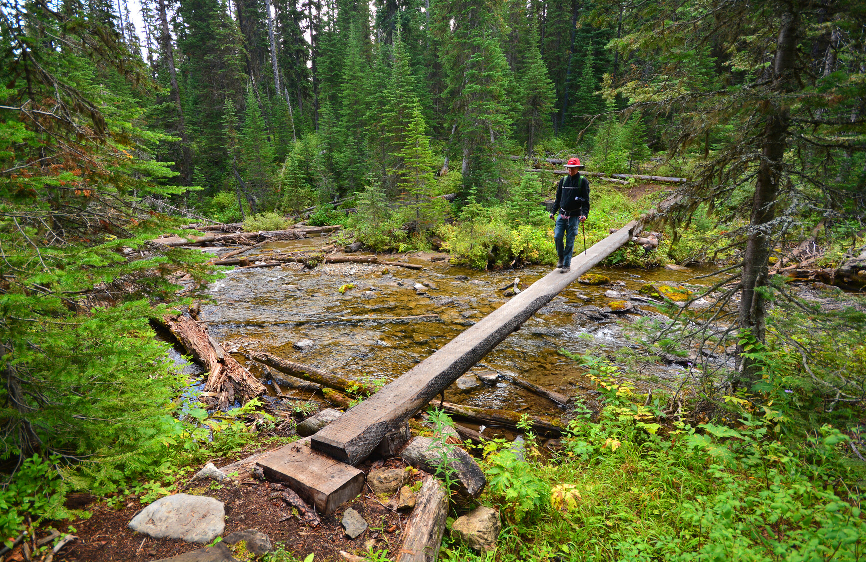 A park visitor crossing a single log bridge over a creek in Top of the World Park. Forest surrounds the area.