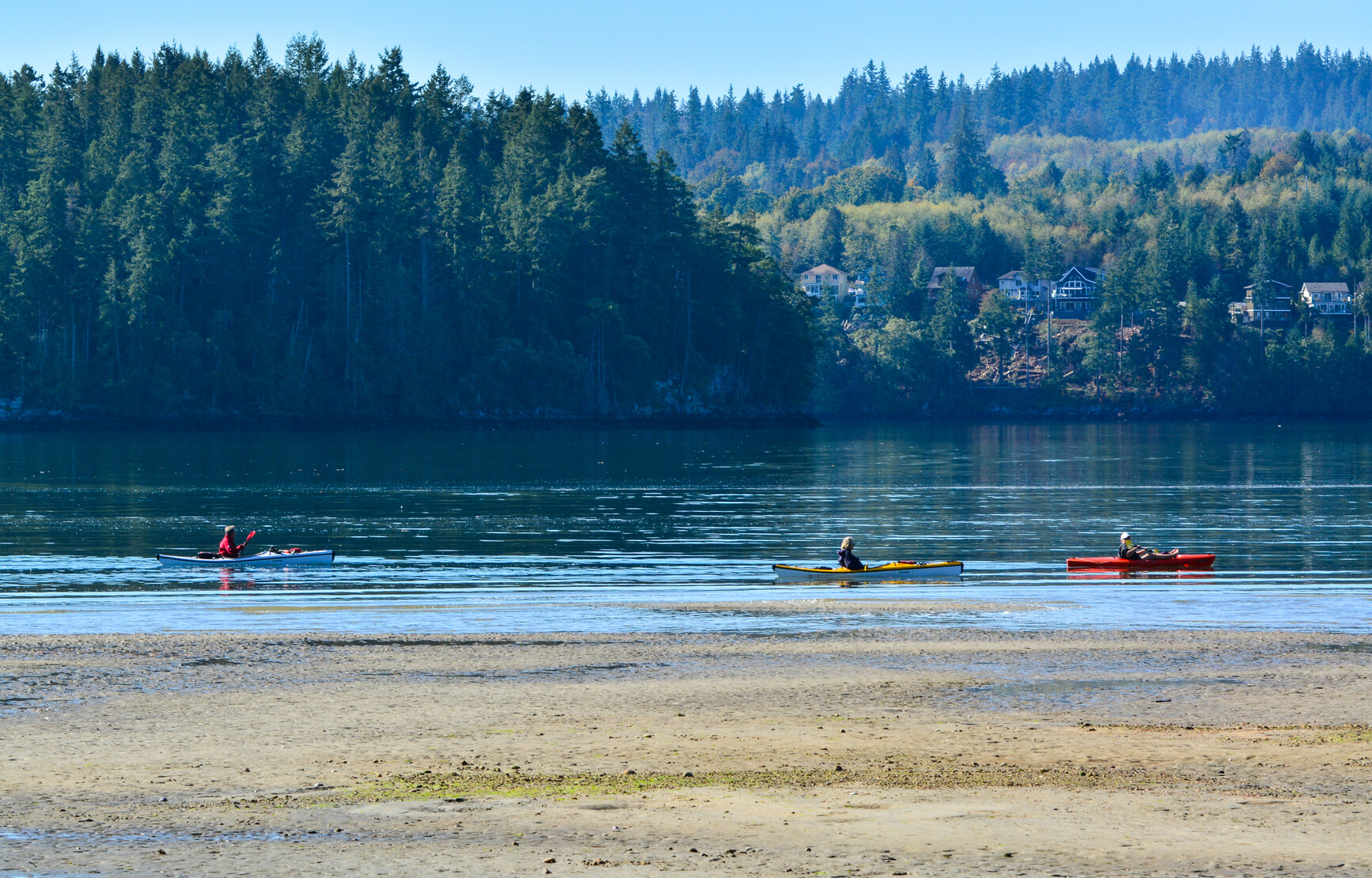 Three park visitors kayaking close to the beach in Porpoise Bay Park. Houses and forested hillsides line the opposite side of the bay.