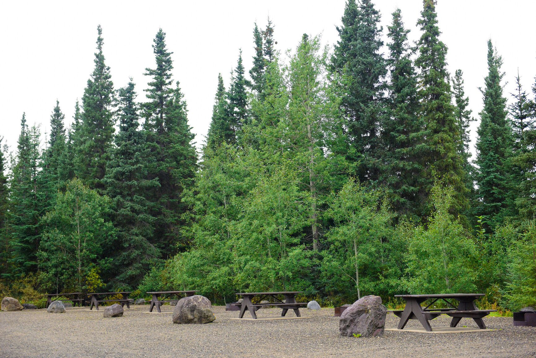 Campsite area in Kinaskan Lake Park.