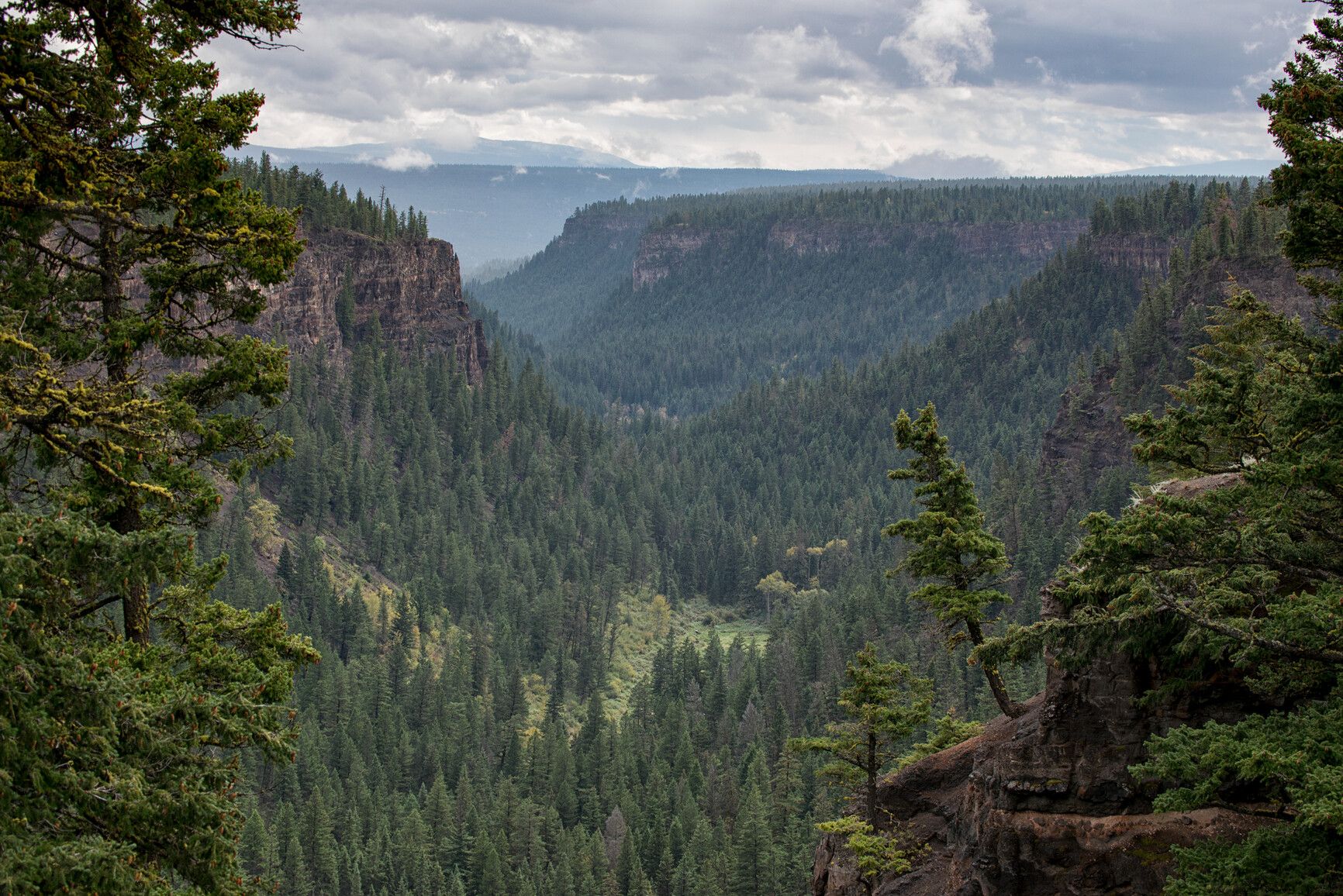 A view of the canyon in Chasm Park.